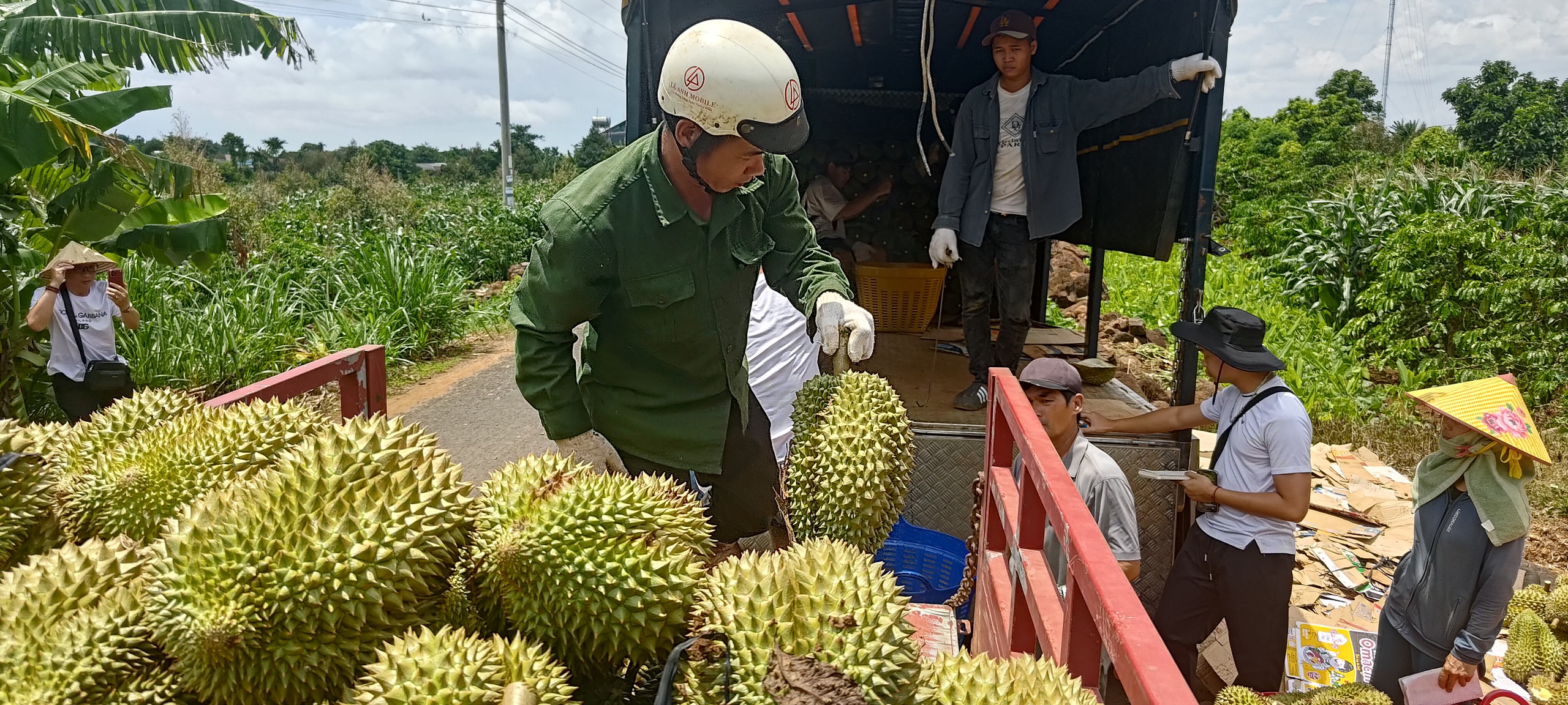 Công an Đắk Lắk cảnh báo hoạt động 'bảo kê' sầu riêng
- Ảnh 2.
