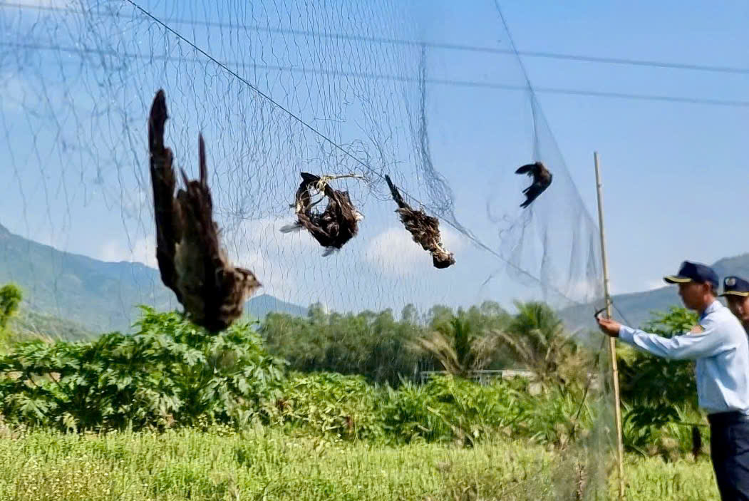 Kh&aacute;nh H&ograve;a r&agrave; so&aacute;t t&agrave;i khoản mạng x&atilde; hội bu&ocirc;n b&aacute;n động vật hoang d&atilde;- Ảnh 1.