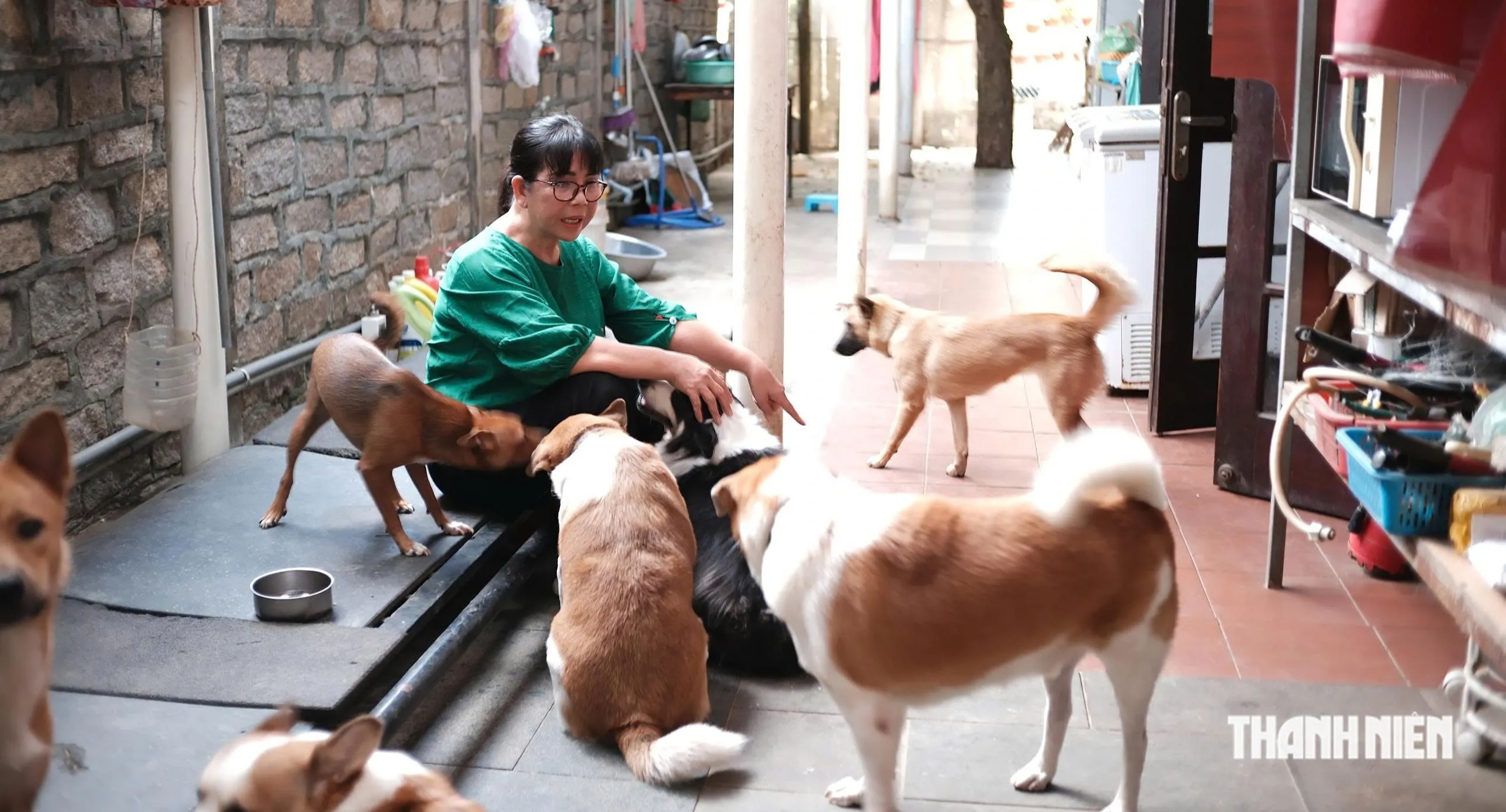 Ca sĩ &Aacute;nh Tuyết: T&ocirc;i kh&ocirc;ng d&aacute;m nhận danh xưng 'Nữ ho&agrave;ng nhạc Trịnh'  - Ảnh 5.