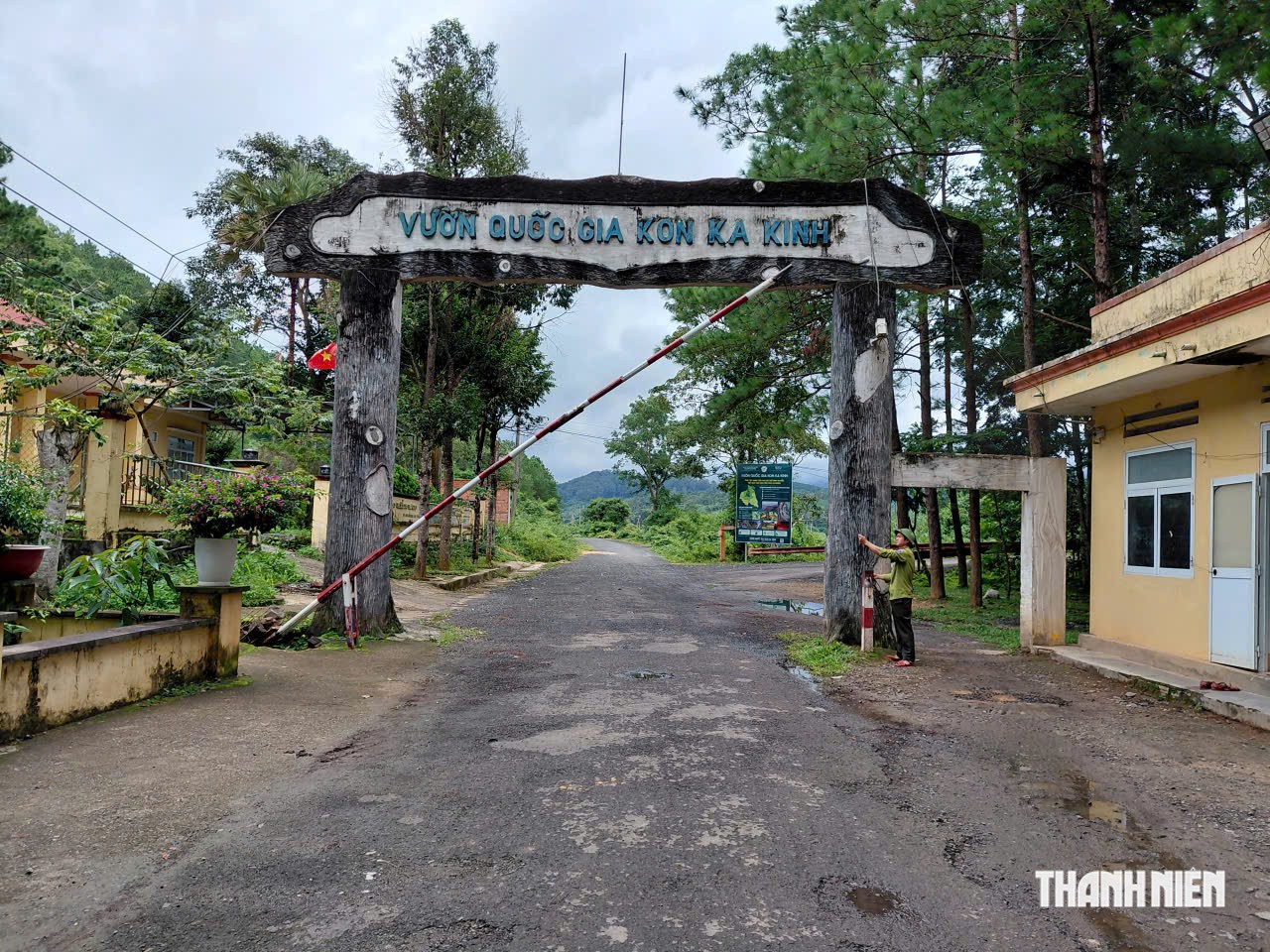 Gia Lai lập 'siêu ban' quản lý rừng đặc dụng- Ảnh 1.