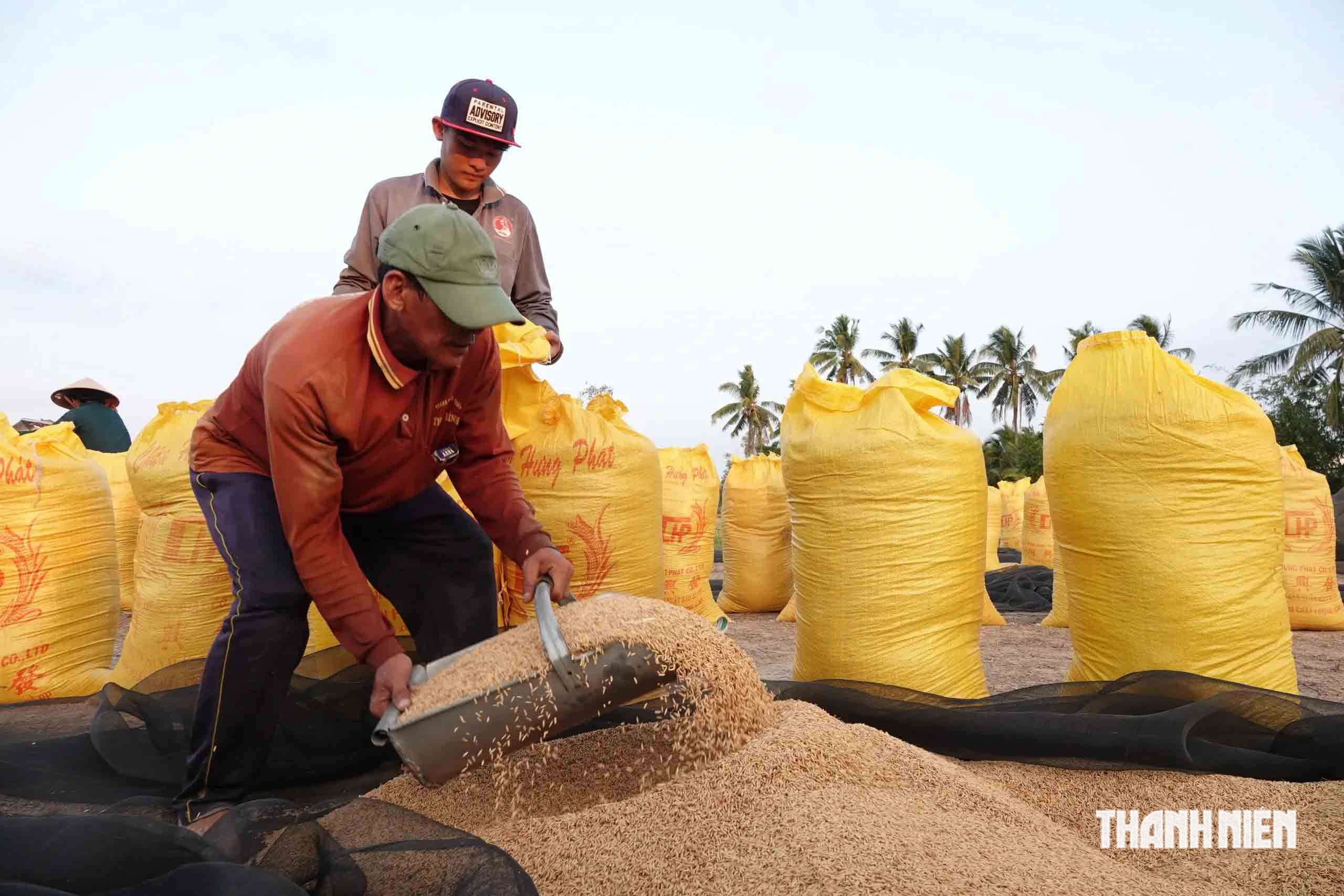 Giá lương thực có sốt bởi “siêu El Nino”?- Ảnh 1.