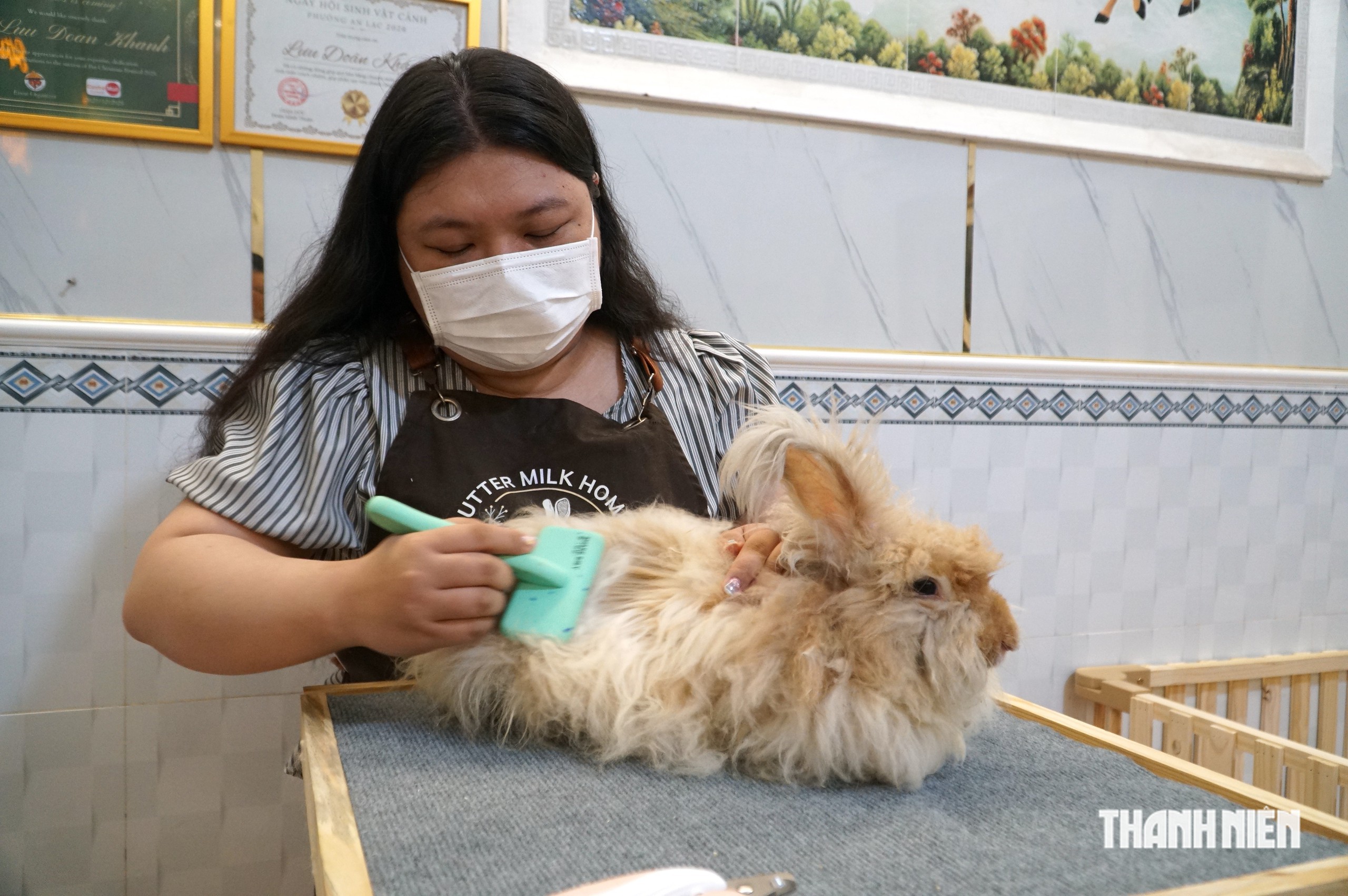 Độc lạ TP.HCM: Thỏ cưng cũng được l&agrave;m đẹp, nghỉ dưỡng như &lsquo;thượng kh&aacute;ch&rsquo; - Ảnh 2.