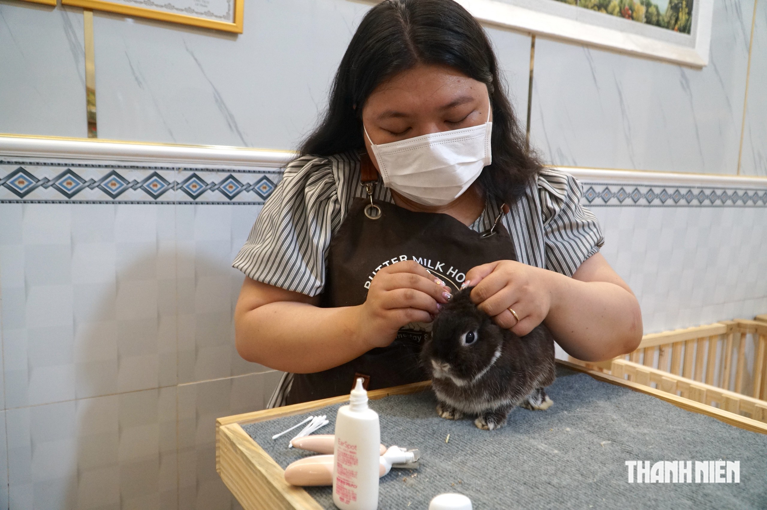 Độc lạ TP.HCM: Thỏ cưng cũng được l&agrave;m đẹp, nghỉ dưỡng như &lsquo;thượng kh&aacute;ch&rsquo; - Ảnh 3.
