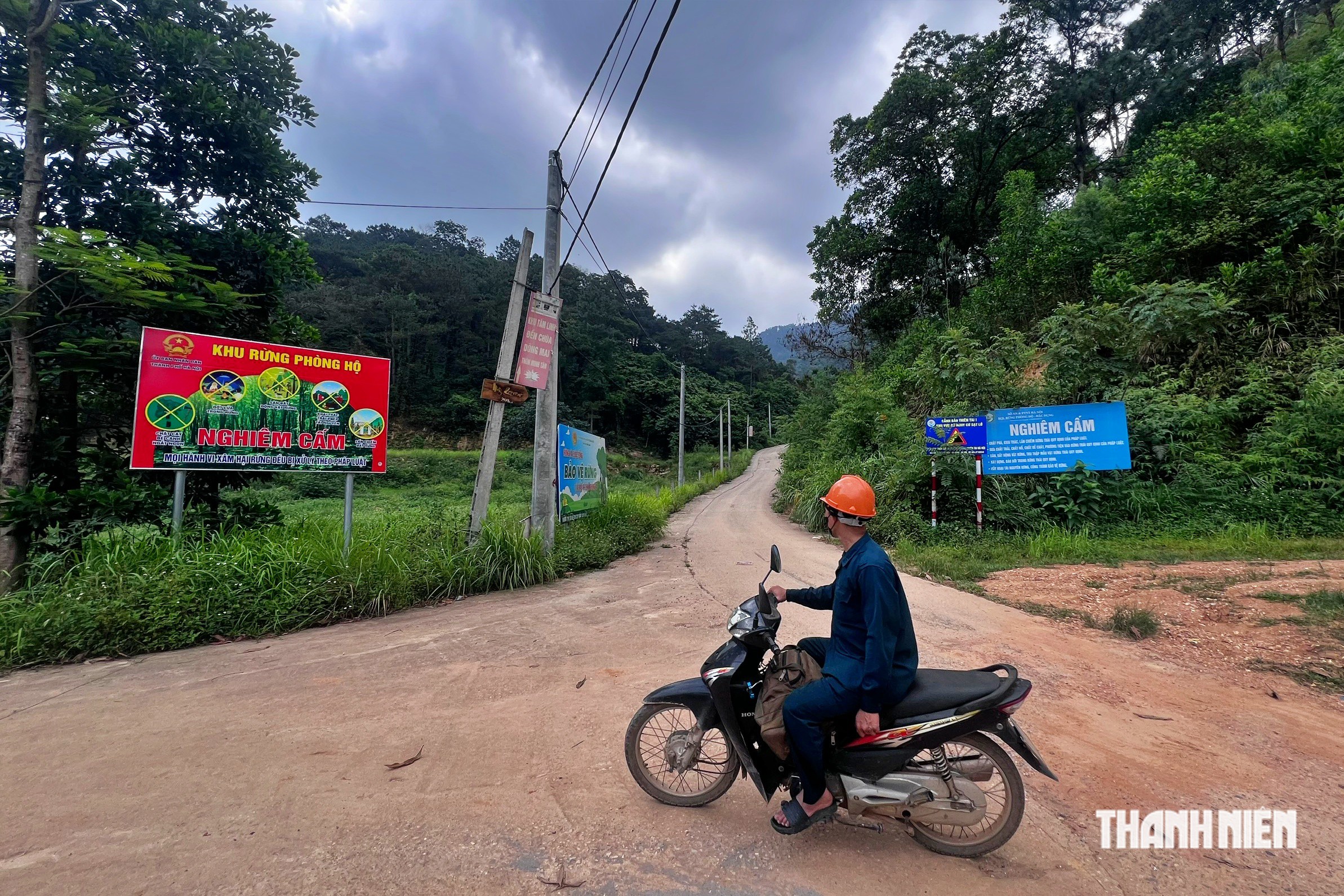 Nghịch lý 'dân gốc' mòn mỏi chờ sổ đỏ, villa/homestay vẫn mọc trong rừng phòng hộ - Ảnh 1.