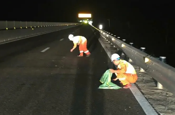 Hàng loạt xe bị đâm thủng lốp trên cao tốc Quảng Ngãi - Quy Nhơn- Ảnh 1.