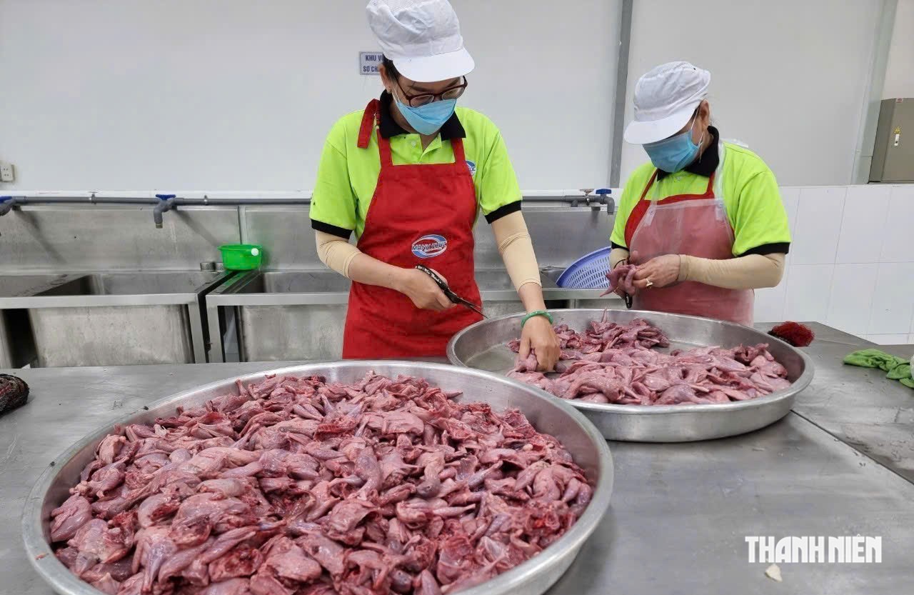 TP.HCM: Quan tâm đặc biệt an toàn thực phẩm trong bếp ăn công nhân, trường học - Ảnh 5.