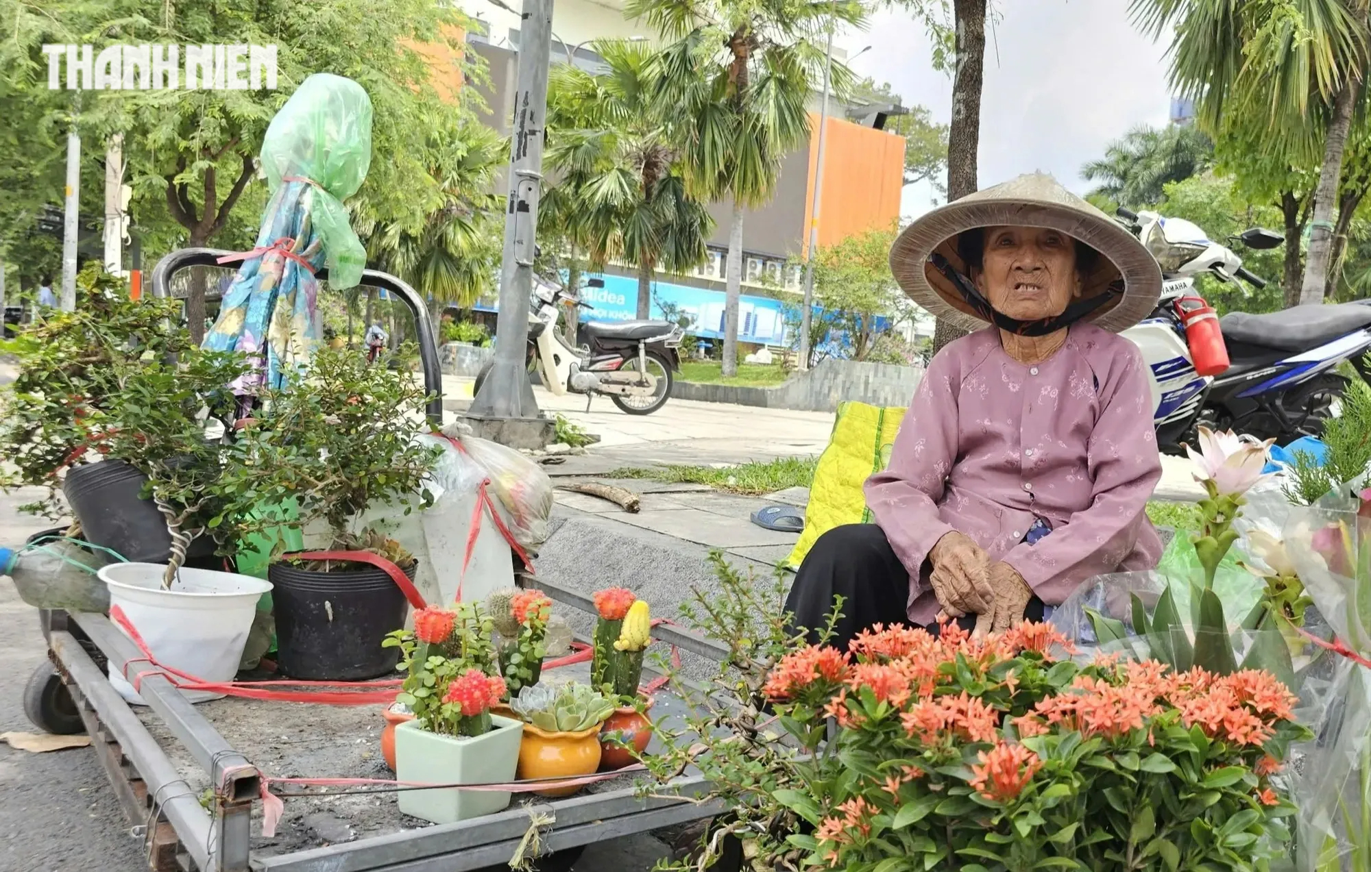 Cụ bà 82 tuổi đẩy xe hoa cảnh mưu sinh giữa nắng gắt TP.HCM - Ảnh 2.