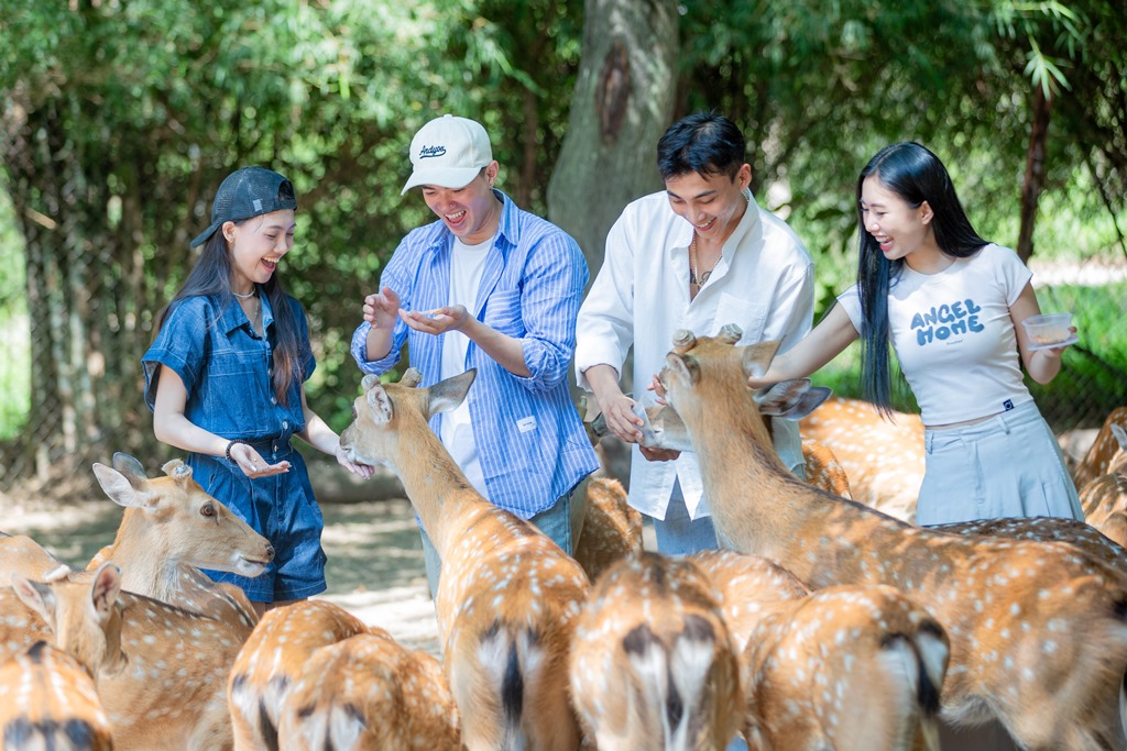 Một ngày 'sạc lại năng lượng' ở đảo Hoa Lan - Ảnh 4.