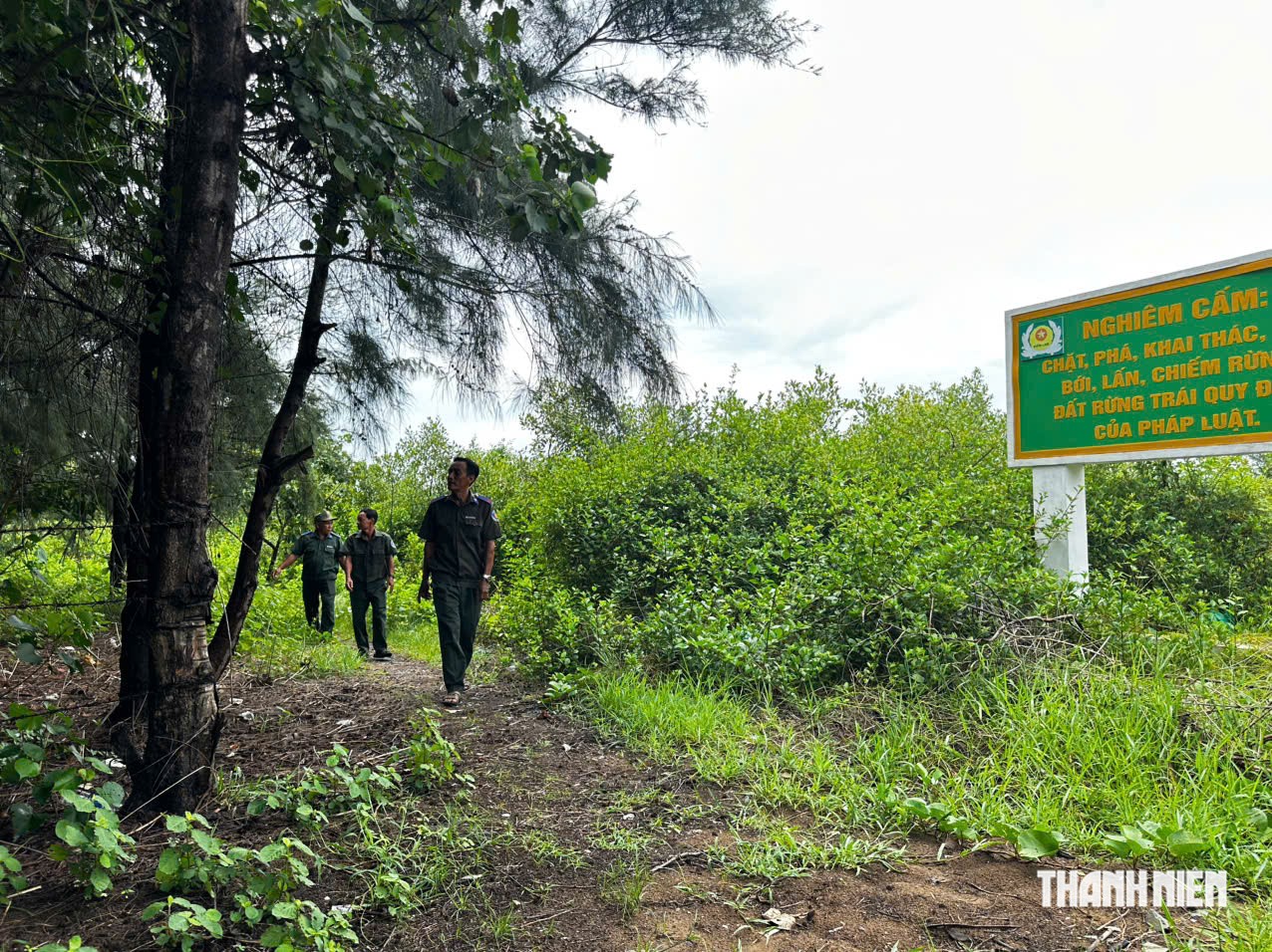 Khu bảo tồn thiên nhiên đất ngập nước Thạnh Phú với 6 kiểu rừng cạnh biển Đông - Ảnh 7.