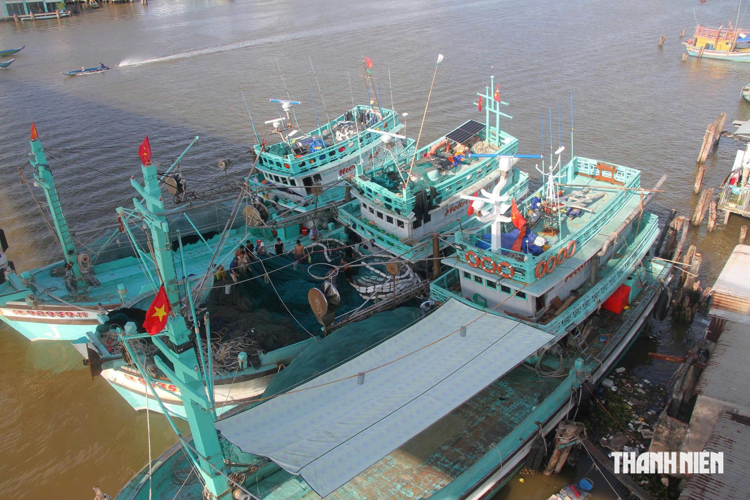 Cà Mau giữ thành quả IUU, quyết không để tàu cá vượt ranh giới biển nước ngoài - Ảnh 1.