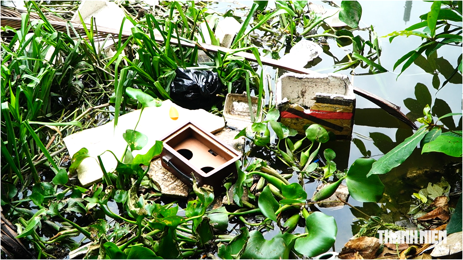 Cuộc sống chen chúc bên rạch Văn Thạnh ô nhiễm của gia đình gần 20 người - Ảnh 4.