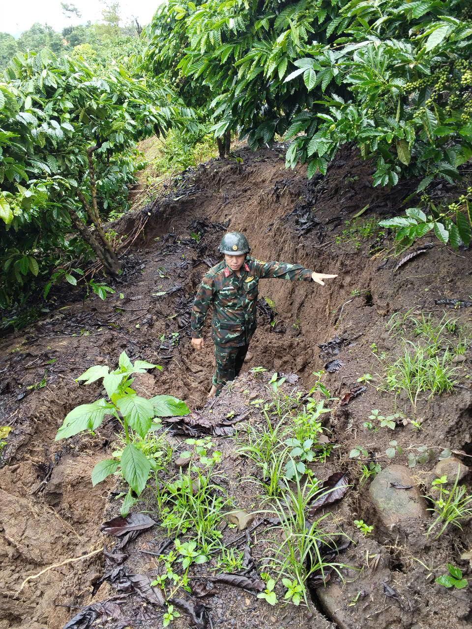 Mưa lớn kéo dài, Lâm Đồng chủ động di dời dân khỏi vùng nguy cơ sạt lở- Ảnh 2.