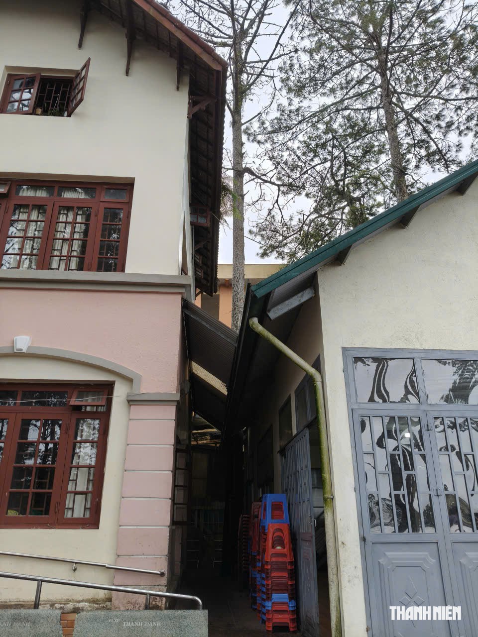 Thông cổ thụ ở Đà Lạt bật gốc ngã đổ, người dân hoảng loạn- Ảnh 7.