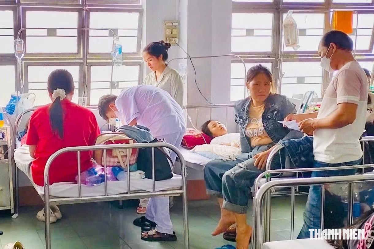 Xử phạt 100 triệu đồng, đình chỉ hộ kinh doanh bánh mì khiến 254 người ngộ độc - Ảnh 2.
