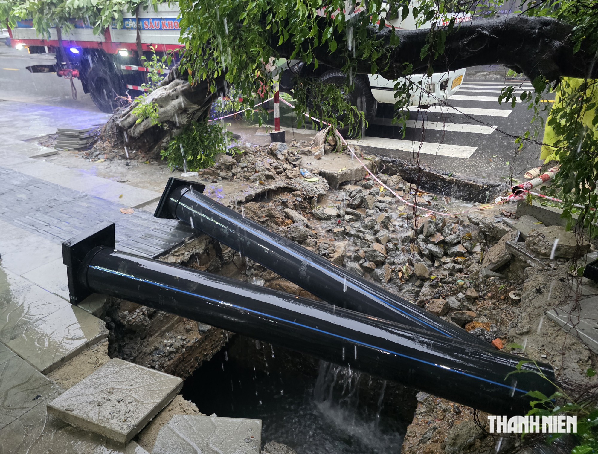 C&acirc;y xanh bất ngờ đổ sập, ngọn c&acirc;y đ&egrave; tr&uacute;ng người trước qu&aacute;n cơm đ&ocirc;ng kh&aacute;ch - Ảnh 3.