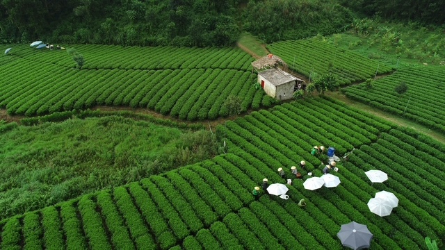 Doanh nghiệp Việt lớn lên thế nào trong một môi trường thể chế đang đổi mới? - Ảnh 5.
