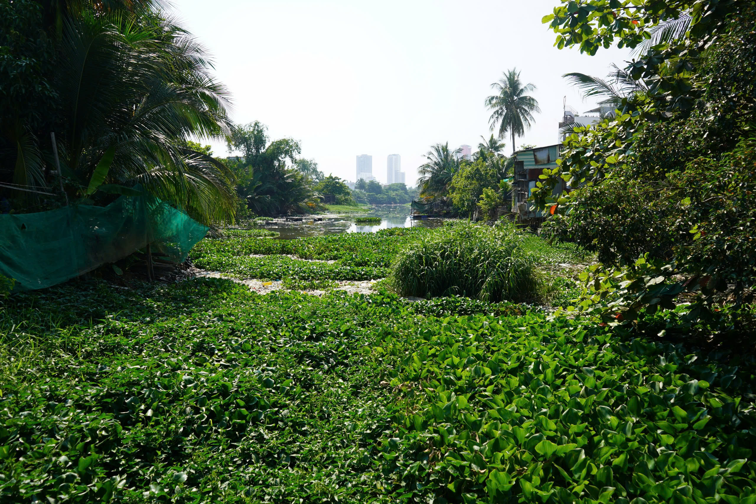Người dân Tây Nha Trang bất ngờ khi những dòng sông 'bèo' được khơi thông - Ảnh 1.