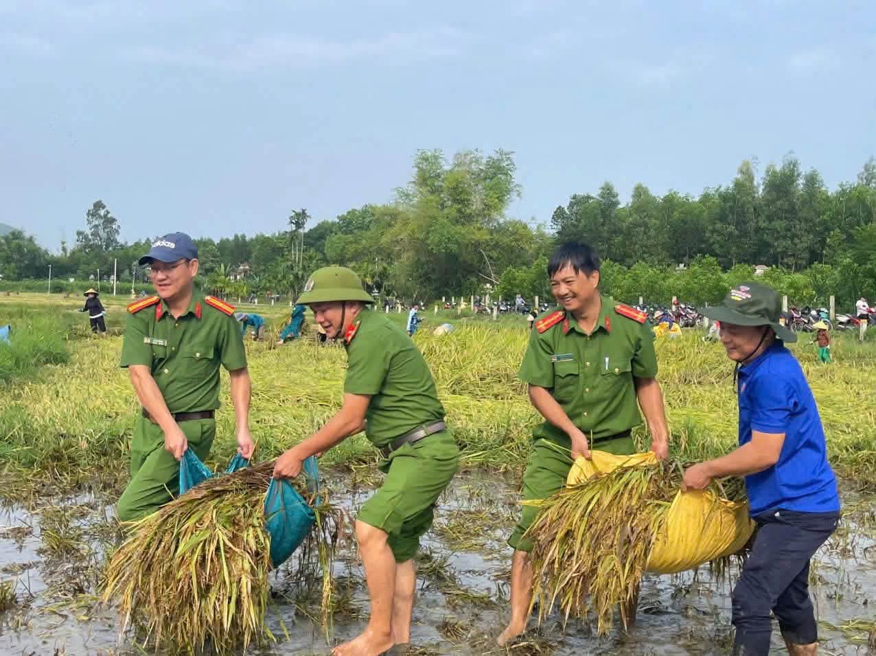 L&uacute;a ng&atilde; bệt sau mưa lớn, cả x&atilde; xuống đồng lội b&ugrave;n gặt l&uacute;a gi&uacute;p d&acirc;n- Ảnh 6.