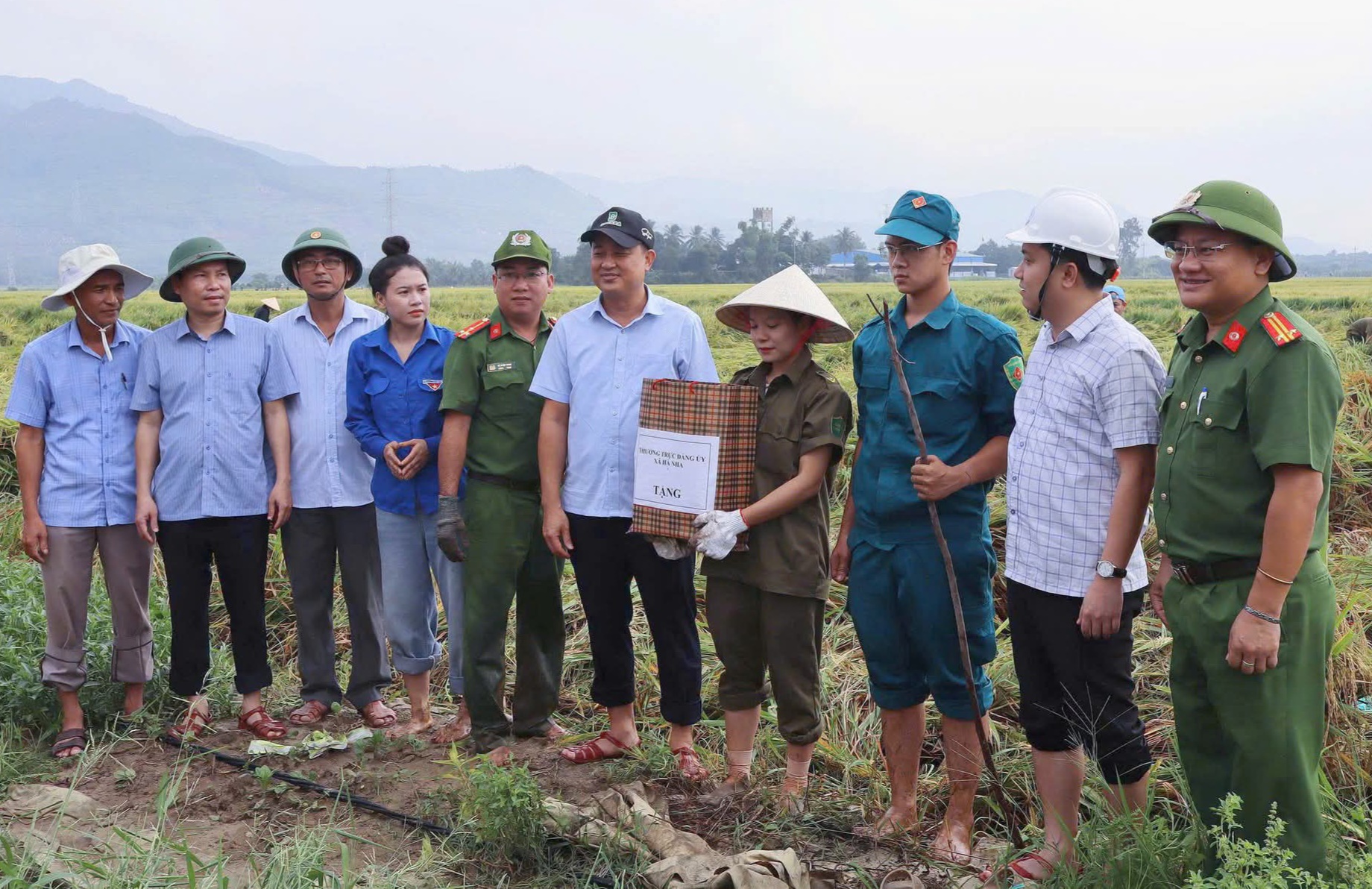 Lúa ngã bệt sau mưa lớn, cả xã xuống đồng lội bùn gặt lúa giúp dân- Ảnh 3.