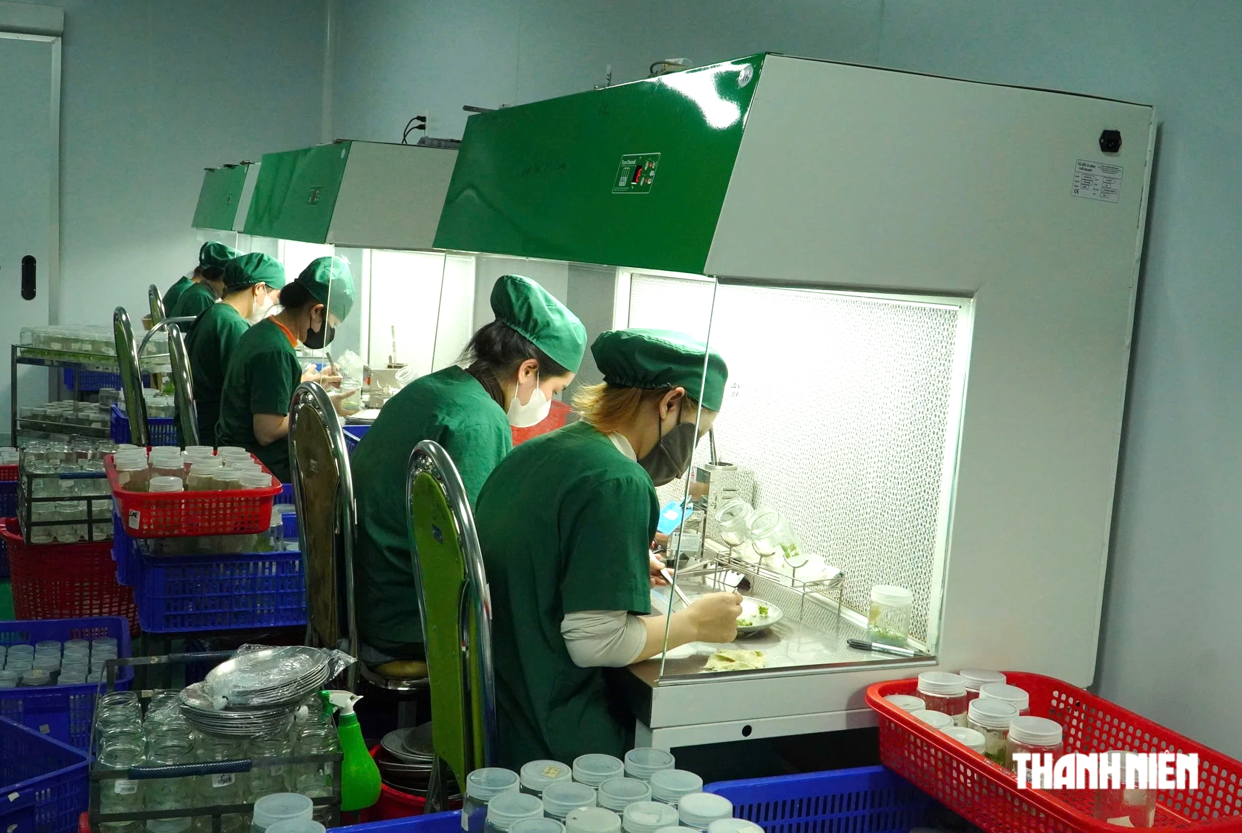 Bỏ nghề cơ kh&iacute; về l&agrave;m vườn ươm thu 20 tỉ mỗi năm - Ảnh 6.