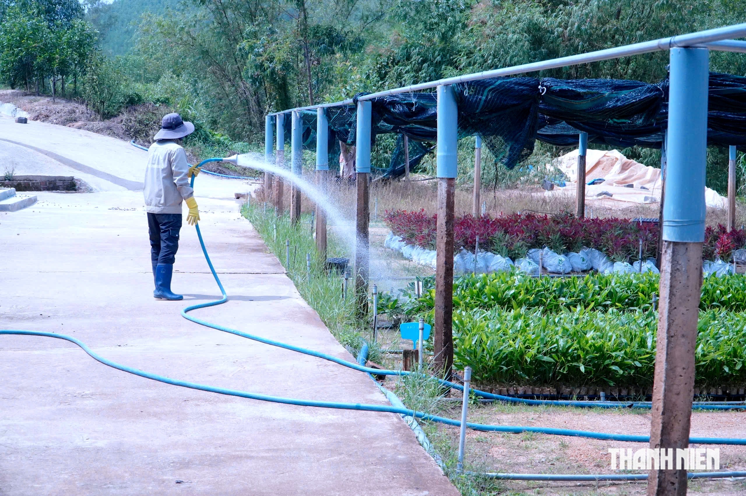 Bỏ nghề cơ kh&iacute; về l&agrave;m vườn ươm thu 20 tỉ mỗi năm - Ảnh 2.