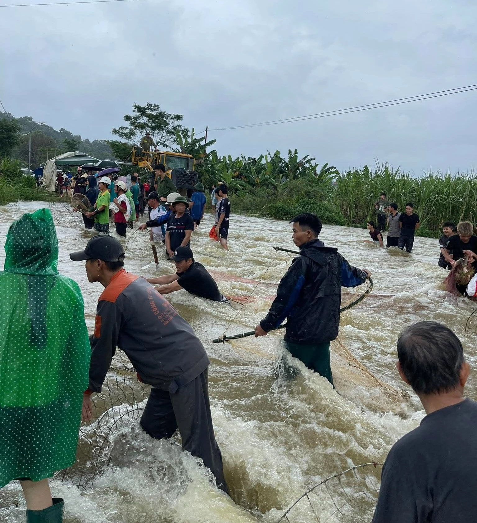 Lũ tràn về, người dân kéo nhau đi bắt cá- Ảnh 1.
