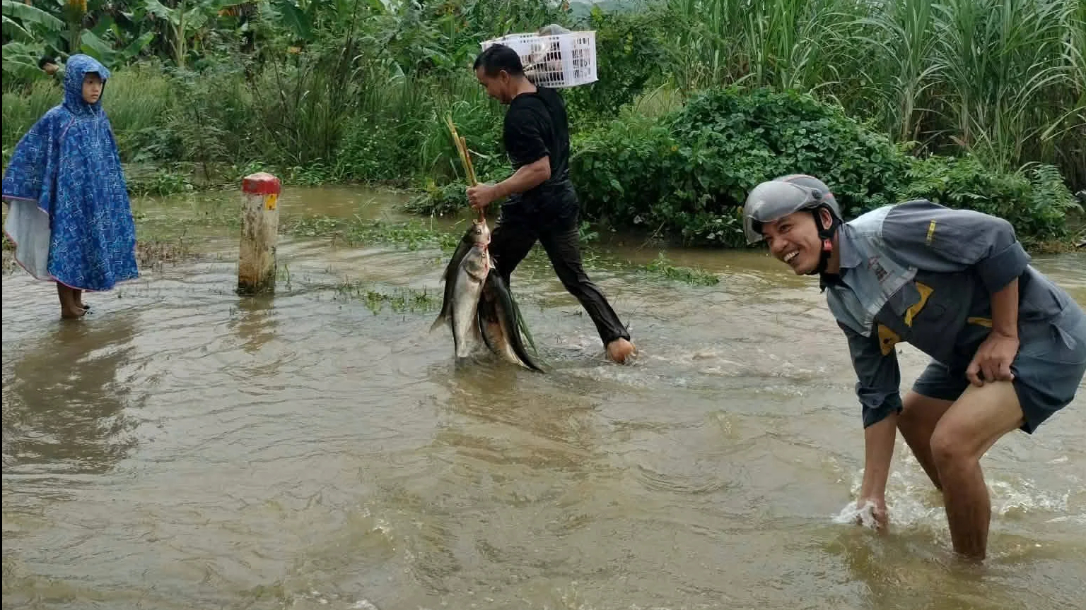 Lũ tràn về, người dân kéo nhau đi bắt cá- Ảnh 2.