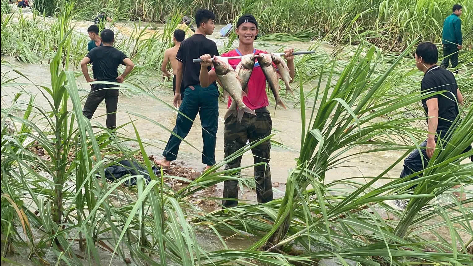 Lũ tràn về, người dân kéo nhau đi bắt cá- Ảnh 3.