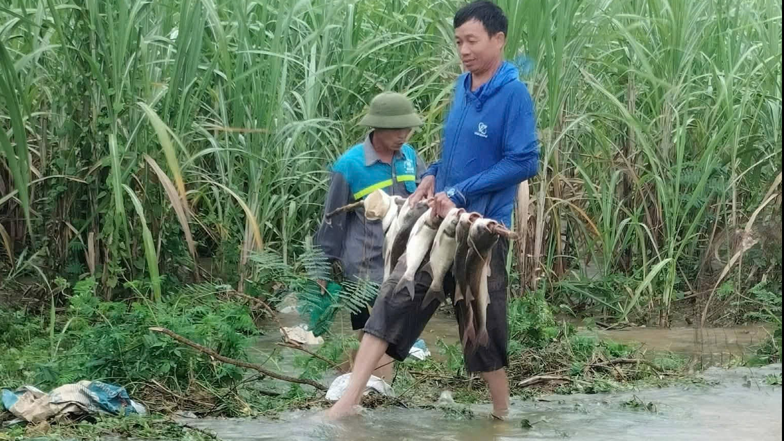 Lũ tràn về, người dân kéo nhau đi bắt cá- Ảnh 5.