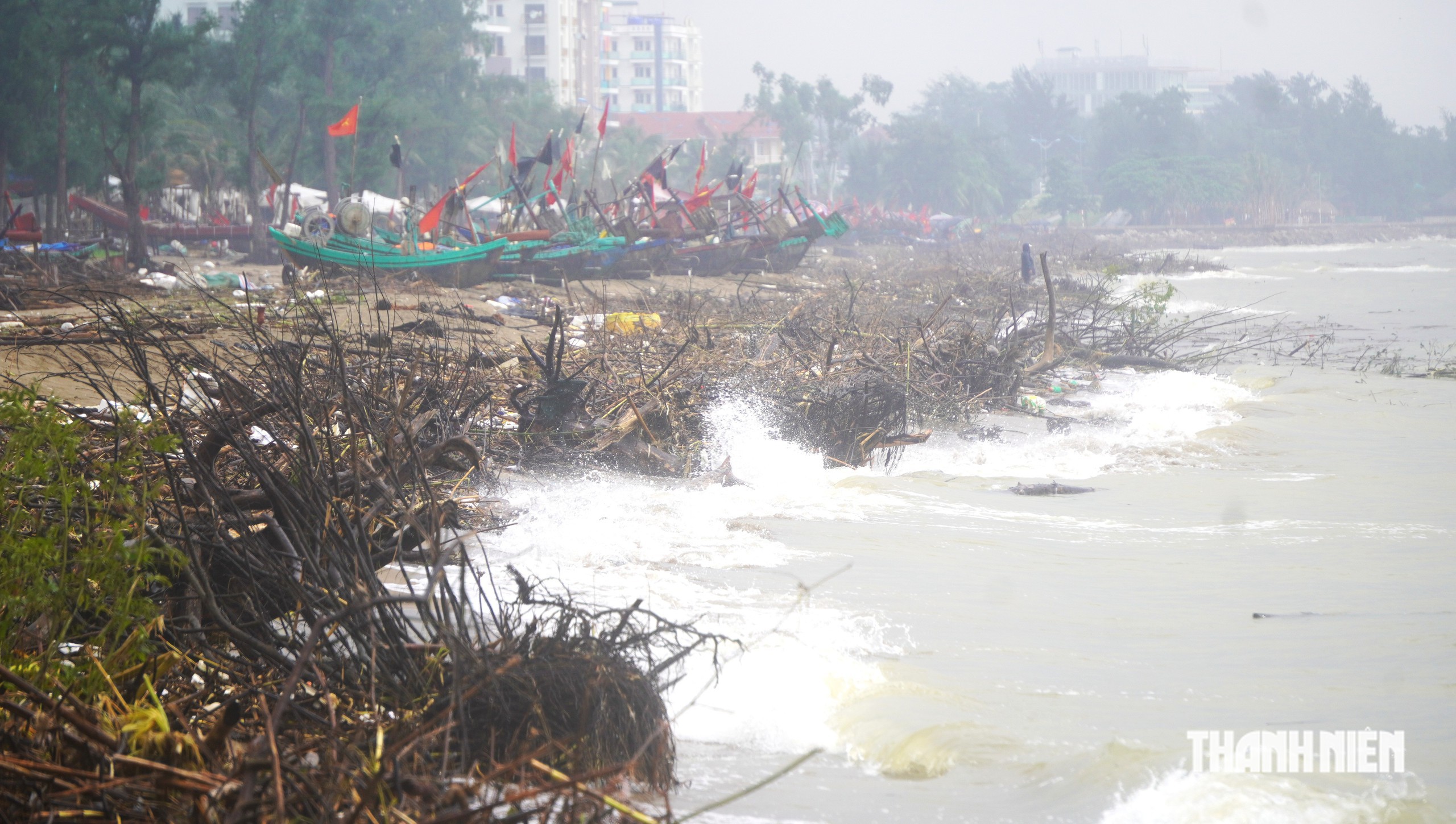 Bãi biển Sầm Sơn tràn ngập rác, củi lụt - Ảnh 14.