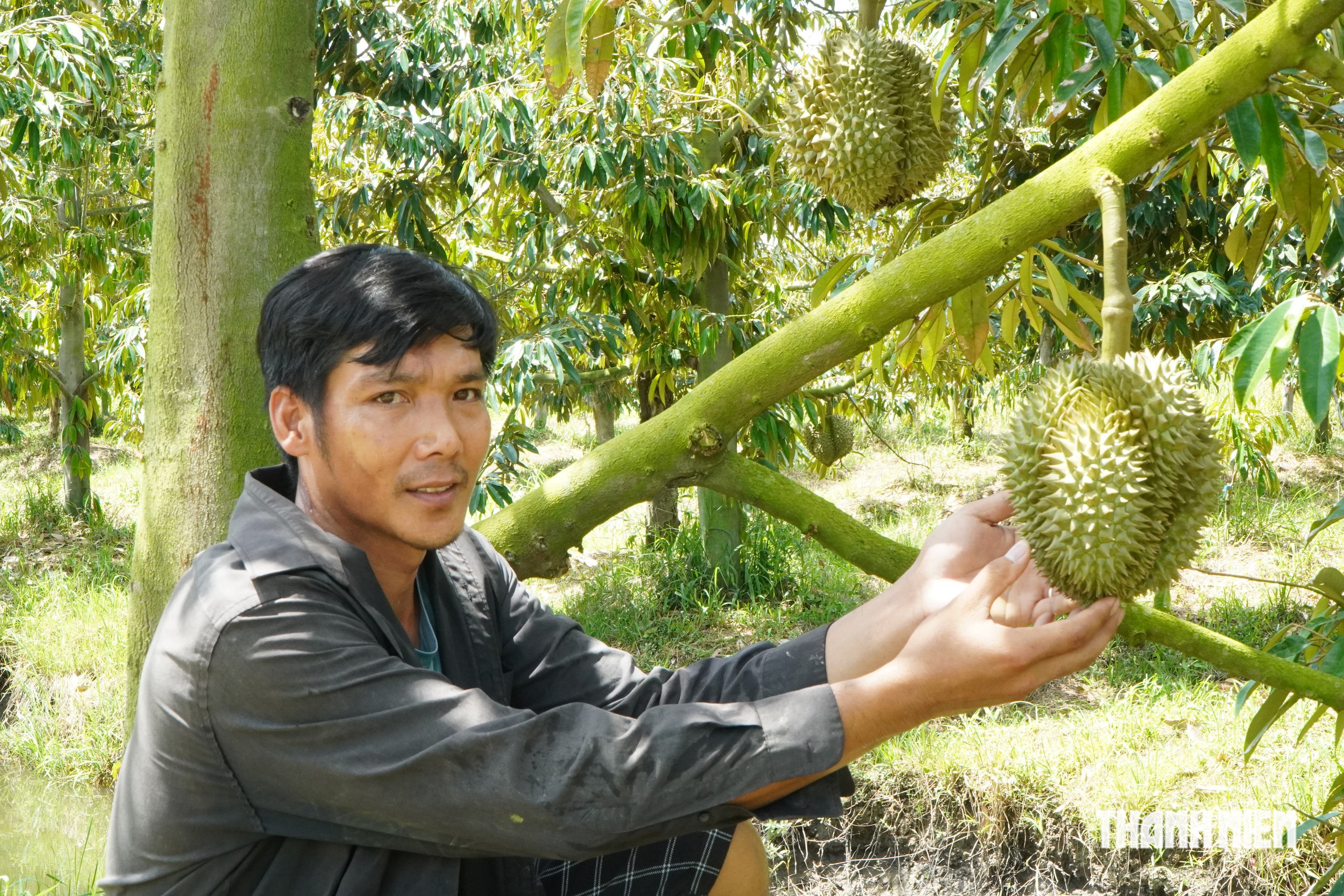 Nông sản ĐBSCL muốn sang Trung Quốc phải qua 4 ‘bộ lọc’- Ảnh 2.
