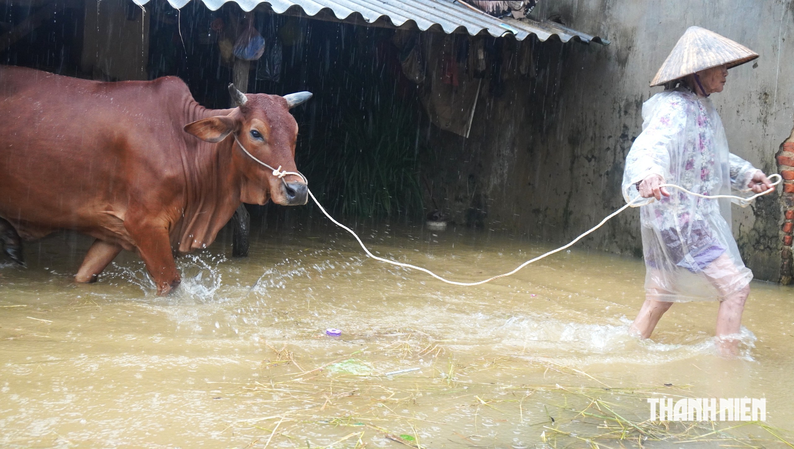 Khổ như dân ngoại đê mùa lũ lụt- Ảnh 5.