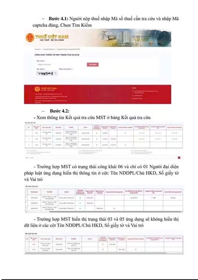 Tra cứu nhanh, biết ngay mã số thuế có thuộc trạng thái 03, 05, 06- Ảnh 2.