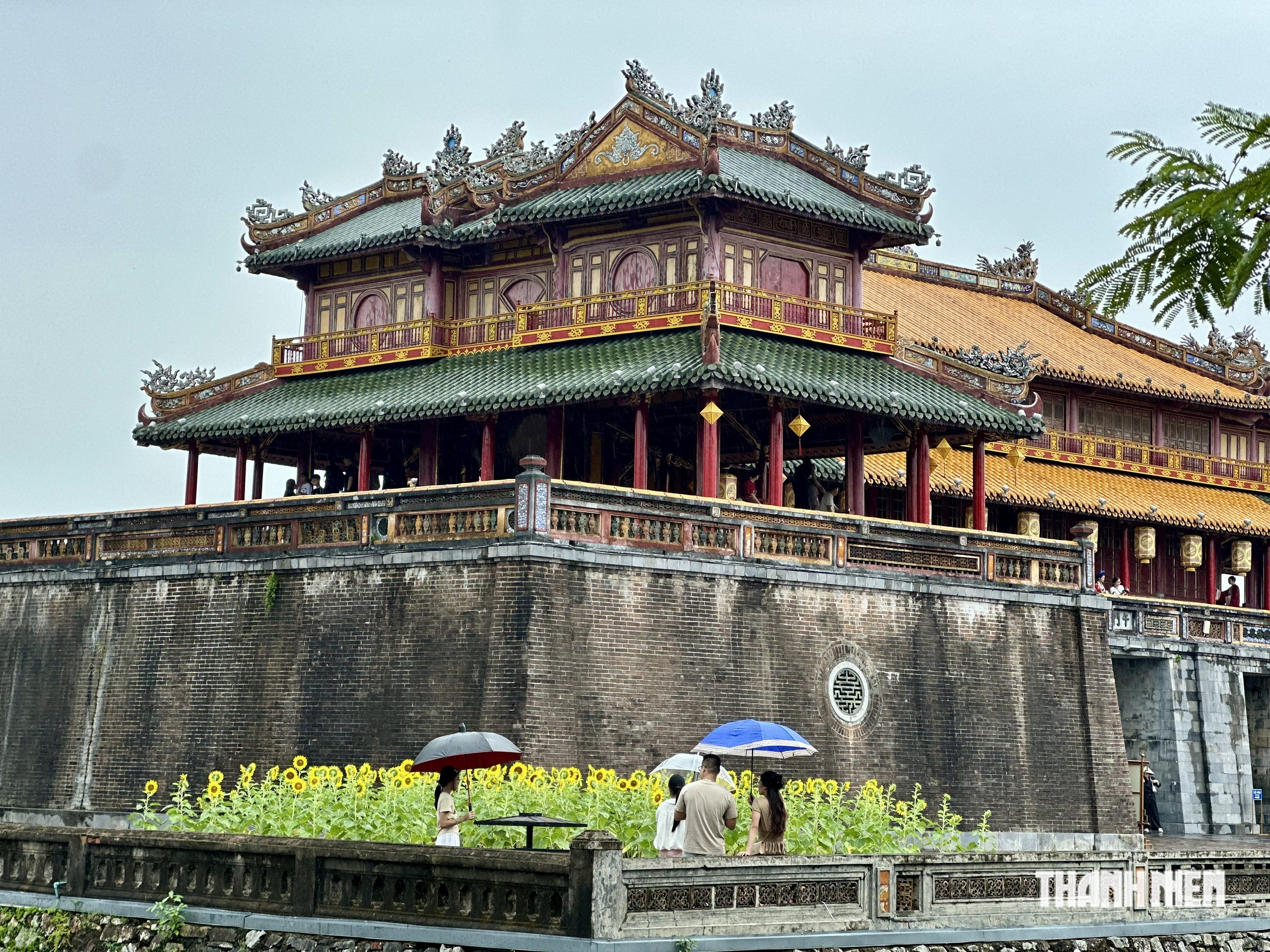 Đội mưa đi - Ảnh 19.
