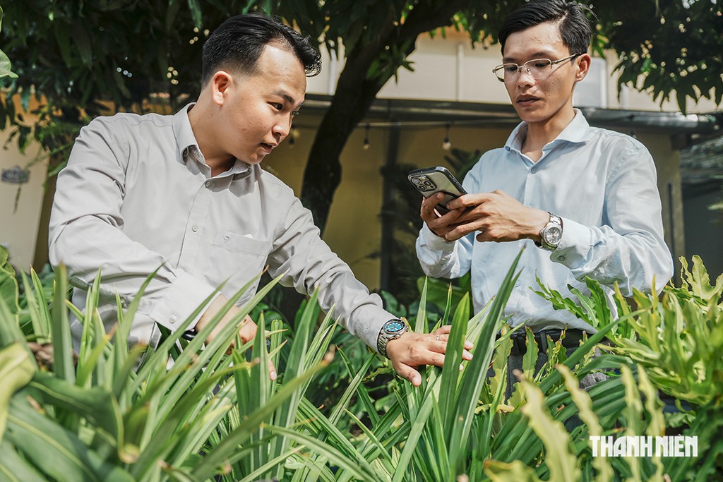 Cấp 'giấy khai sinh' cho cây cảnh - Ảnh 1.