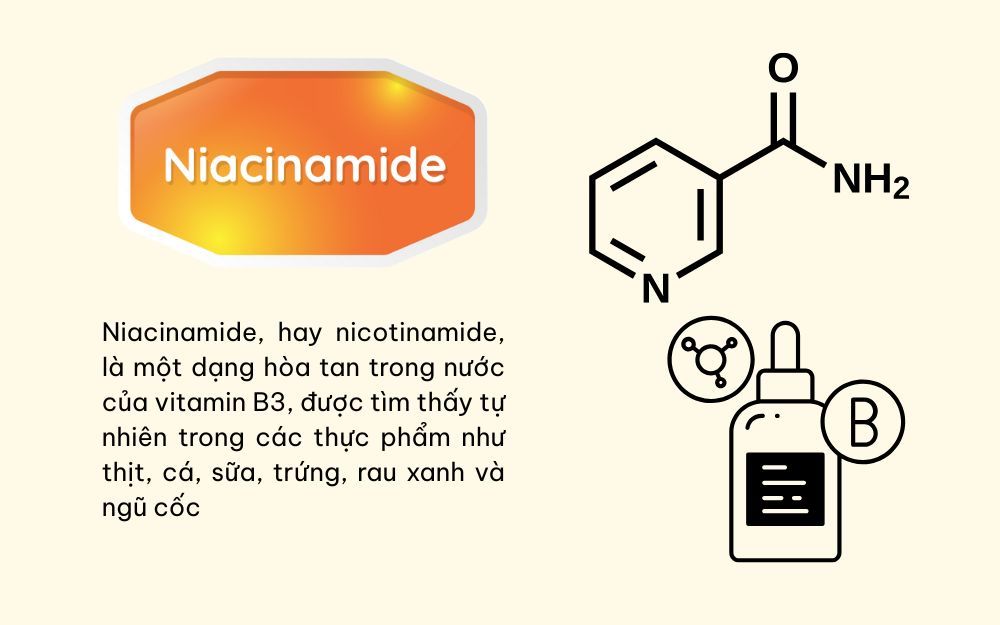 Niacinamide đang hot trở lại: Dùng thế nào để vừa giảm dầu vừa hỗ trợ sáng da? - Ảnh 2.