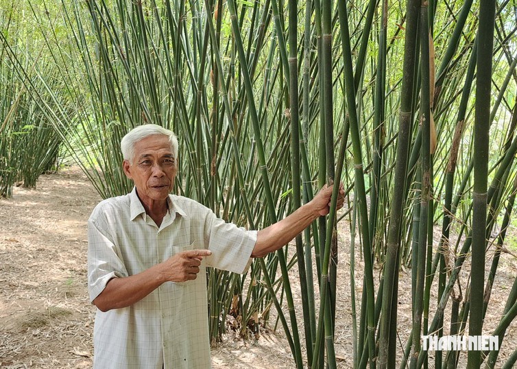 Ông Đạt U.70 giữ nghề đan đát trăm năm, dành 5 công đất trồng tre, trúc- Ảnh 3.