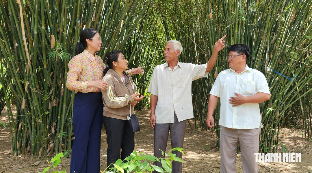Ông Đạt U.70 giữ nghề đan đát trăm năm, dành 5 công đất trồng tre, trúc- Ảnh 4.