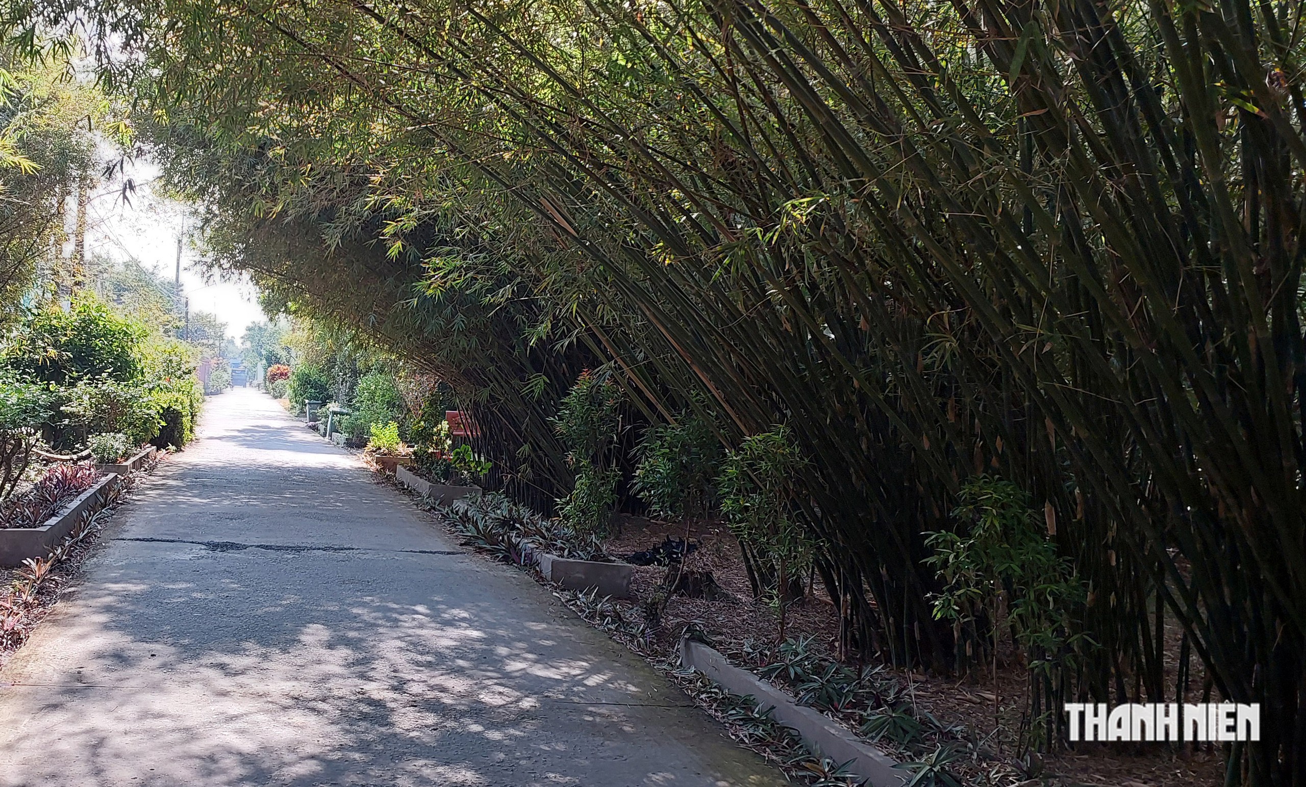 Ông Đạt U.70 giữ nghề đan đát trăm năm, dành 5 công đất trồng tre, trúc- Ảnh 9.