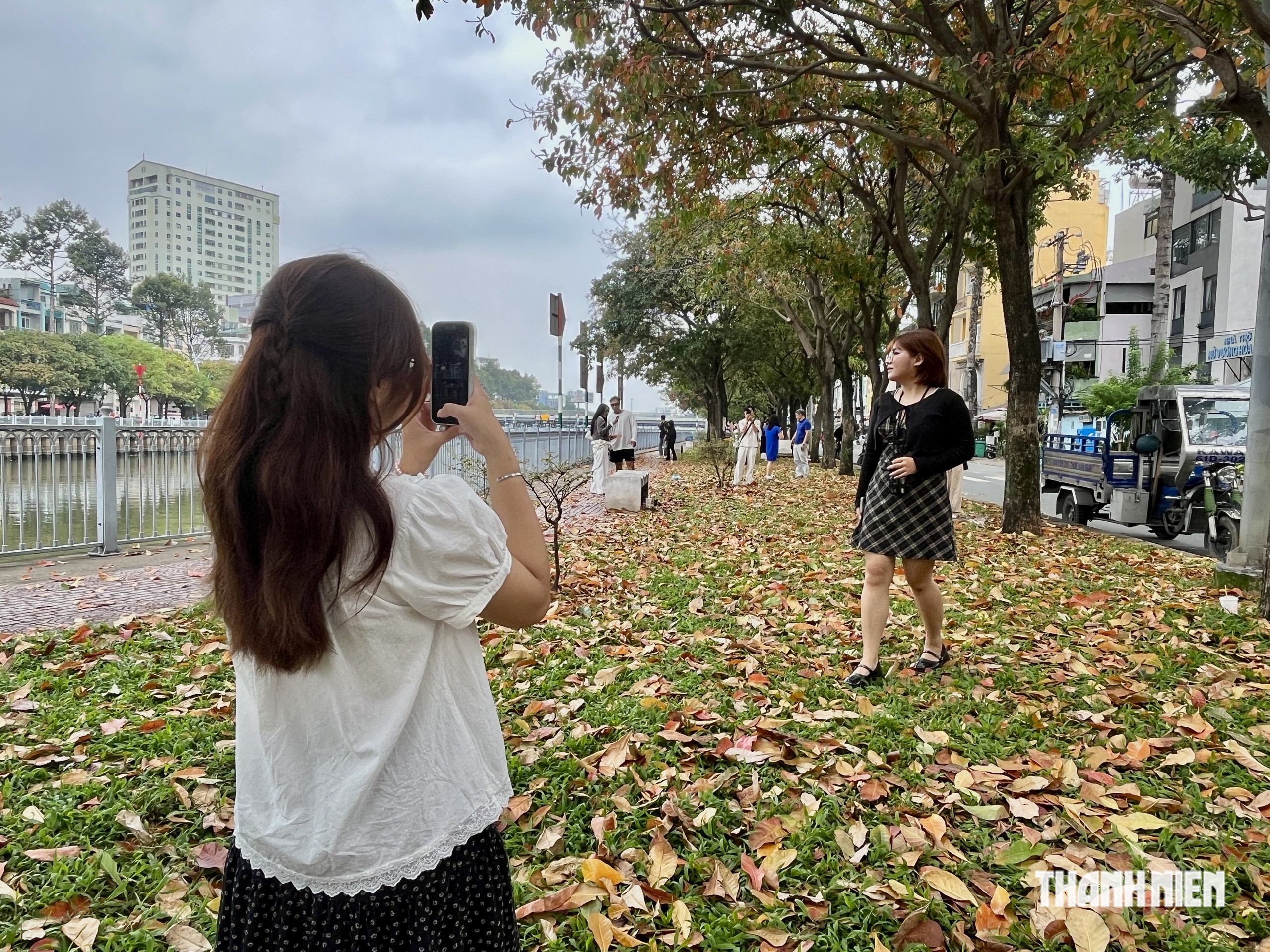 TP.HCM c&oacute; một &lsquo;con đường m&ugrave;a thu&rsquo; đẹp như phim H&agrave;n, giới trẻ m&ecirc; mẩn- Ảnh 6.