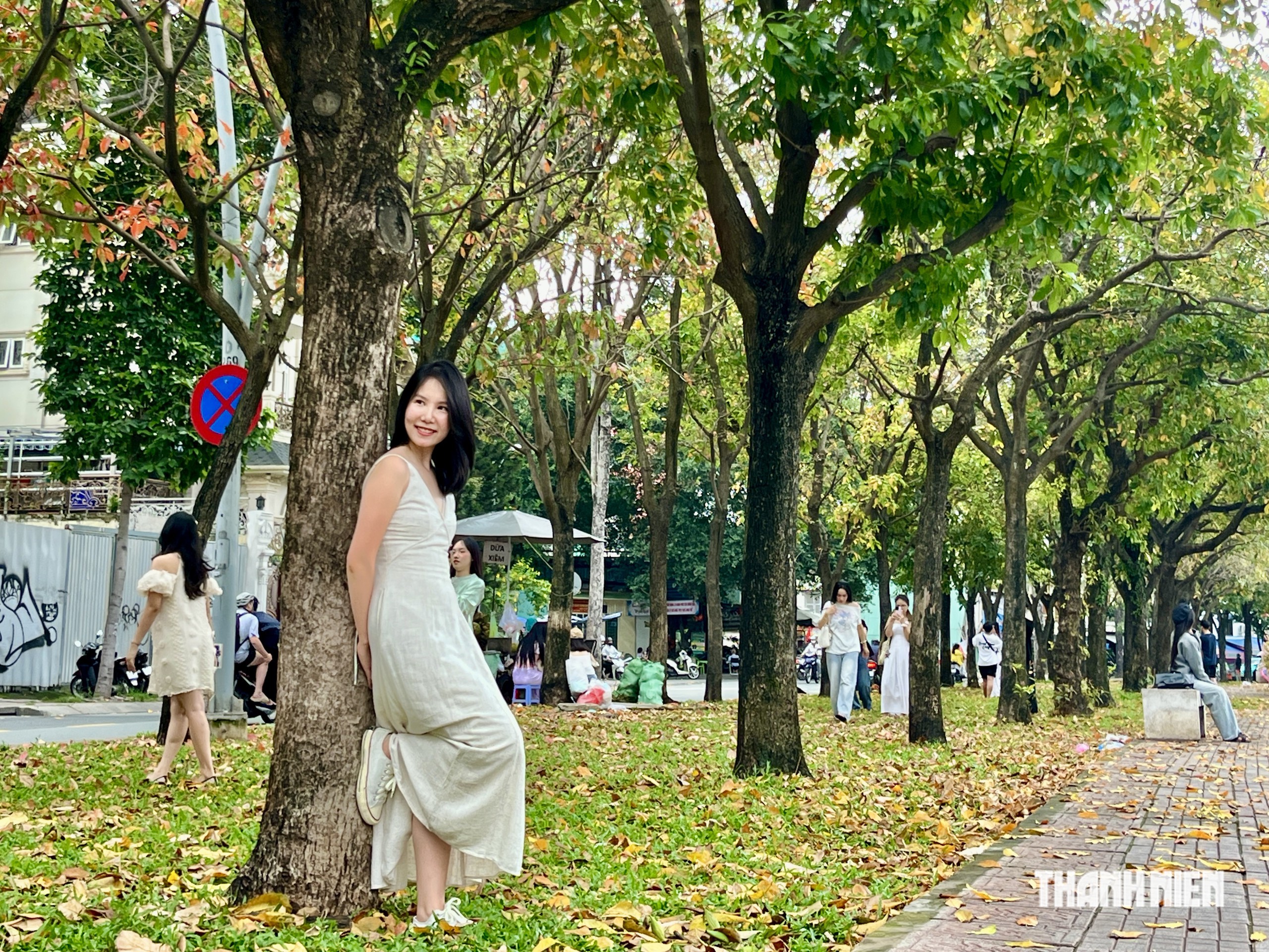 TP.HCM c&oacute; một &lsquo;con đường m&ugrave;a thu&rsquo; đẹp như phim H&agrave;n, giới trẻ m&ecirc; mẩn- Ảnh 7.