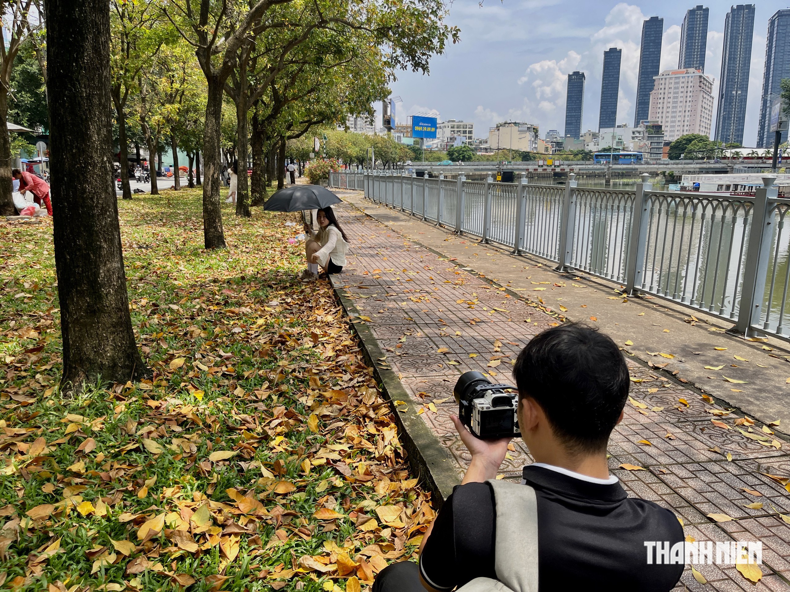 TP.HCM c&oacute; một &lsquo;con đường m&ugrave;a thu&rsquo; đẹp như phim H&agrave;n, giới trẻ m&ecirc; mẩn- Ảnh 3.