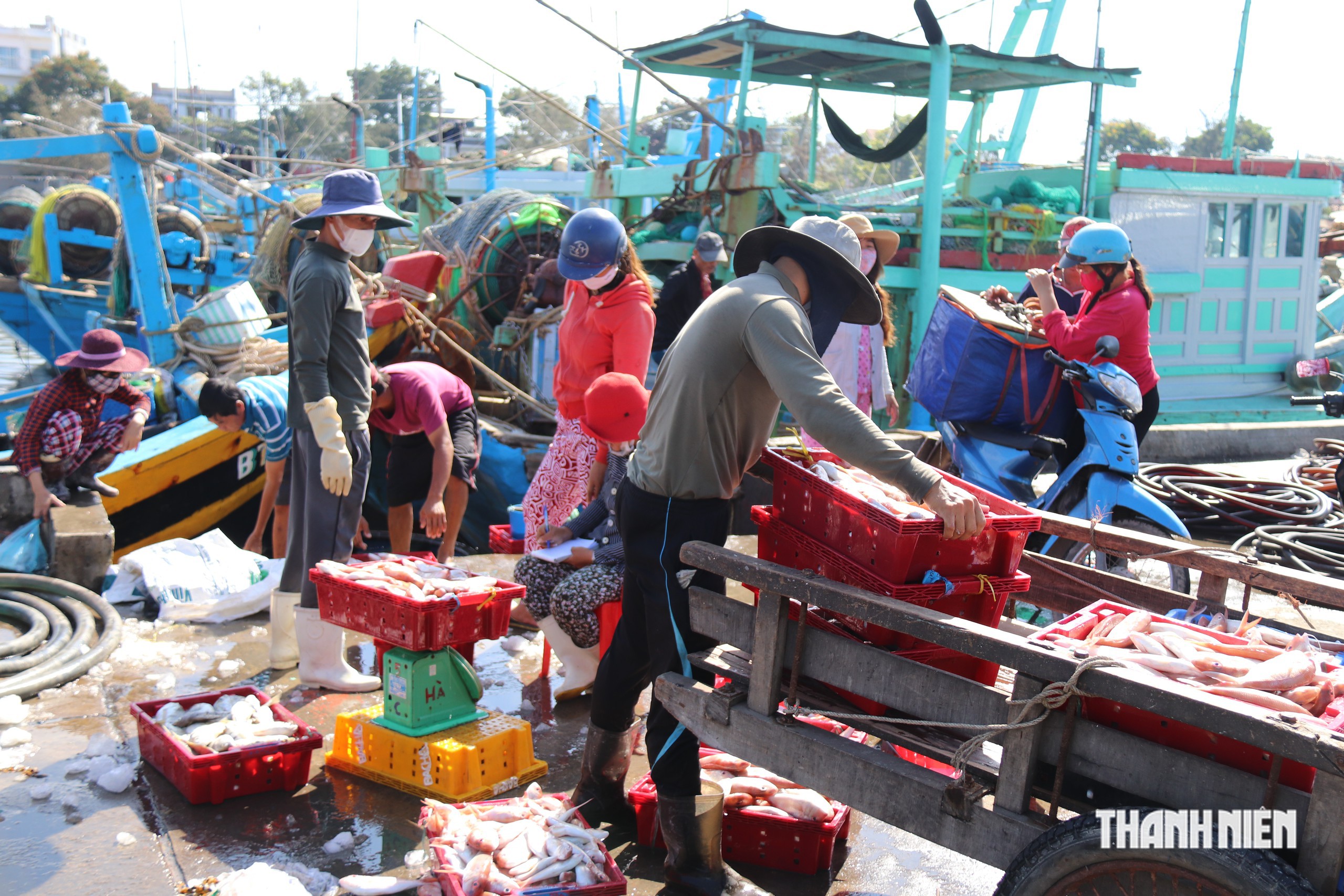 Bộ Quốc phòng yêu cầu xử lý gấp vi phạm IUU tại Lâm Đồng, TP.HCM, Cà Mau - Ảnh 1.
