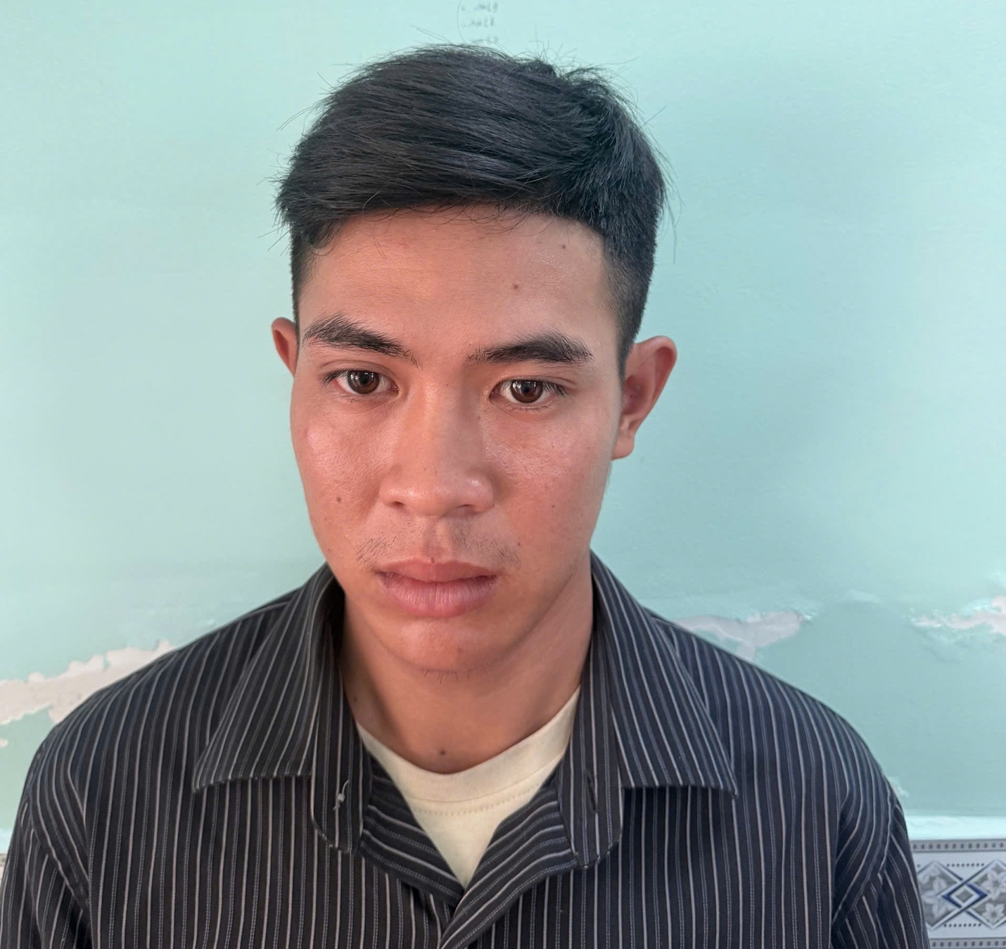 An Giang: Bắt tạm giam bị can lẻn vào phòng hiếp dâm con riêng của "mẹ hờ" - Ảnh 1.