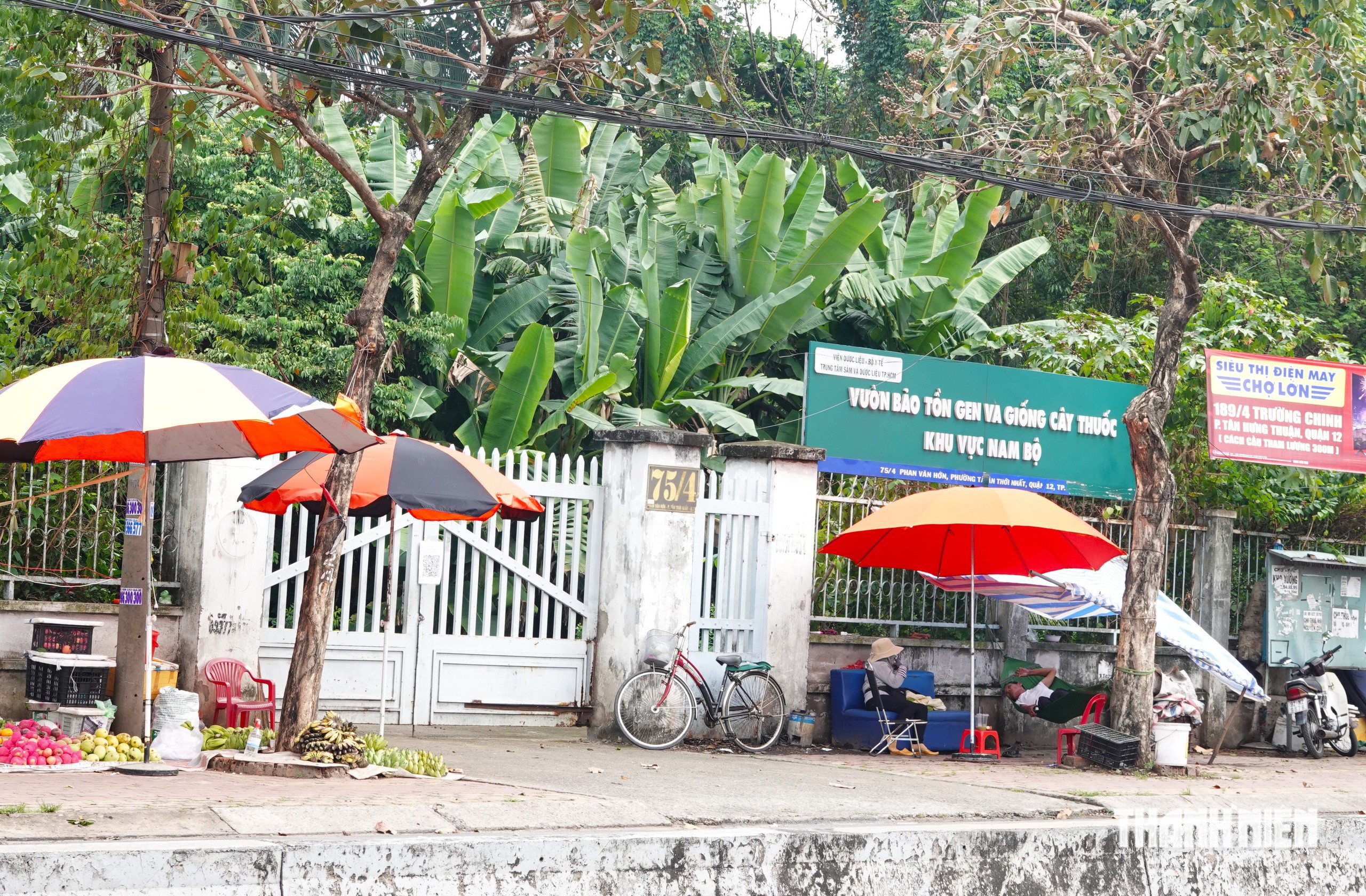TP.HCM đề xuất quy trình 40 ngày thu hồi nhà, đất của cơ quan Trung ương- Ảnh 1.