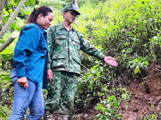Mưa lớn dồn dập, Đà Nẵng cảnh báo lũ quét, sạt lở đất ở vùng núi - Ảnh 1.