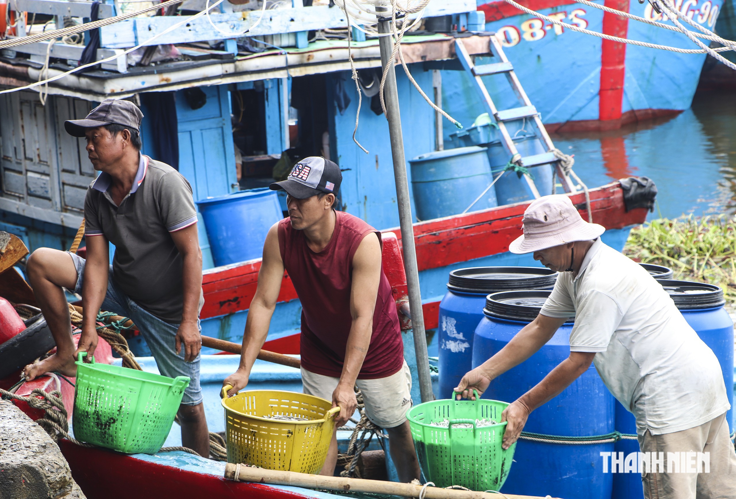 Cá cơm trái vụ 'được mùa', ngư dân Quảng Ngãi phấn khởi vươn khơi - Ảnh 5.