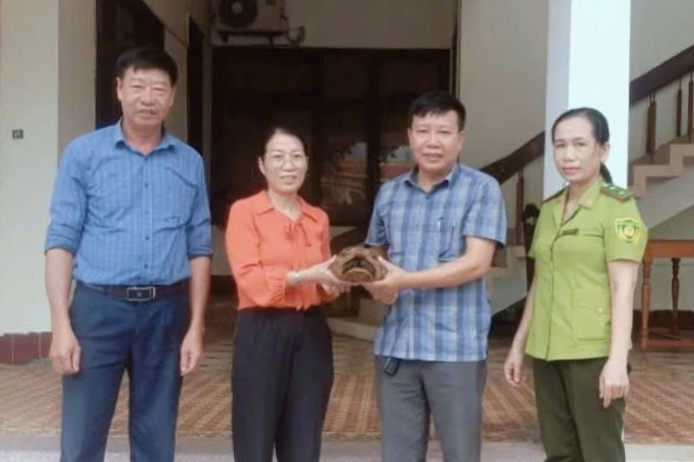 Liên tiếp giải cứu động vật hoang dã quý hiếm ở Quảng Trị- Ảnh 3.