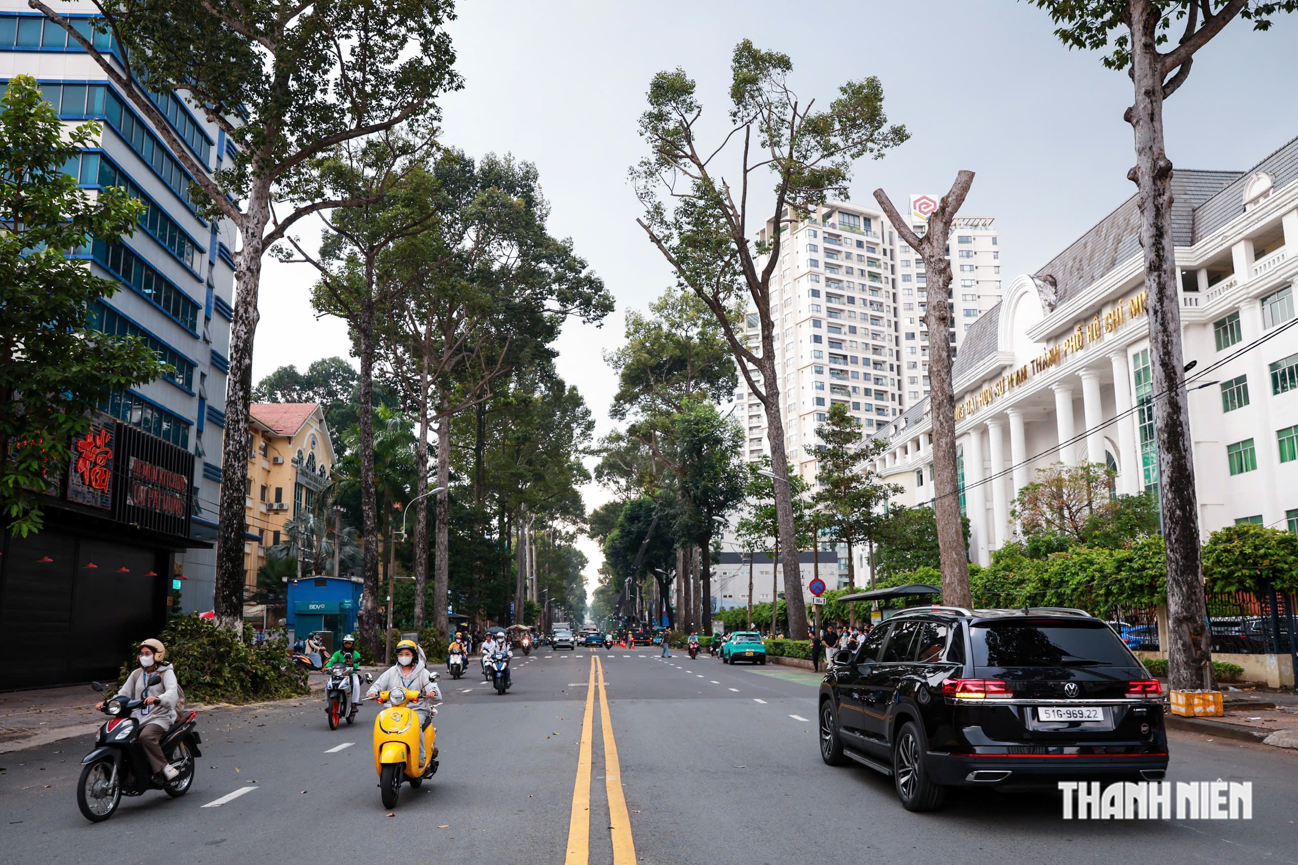 Hơn 8.000 cây cổ thụ ở TP.HCM được 'khám sức khỏe' trong mùa mưa thế nào?- Ảnh 9.