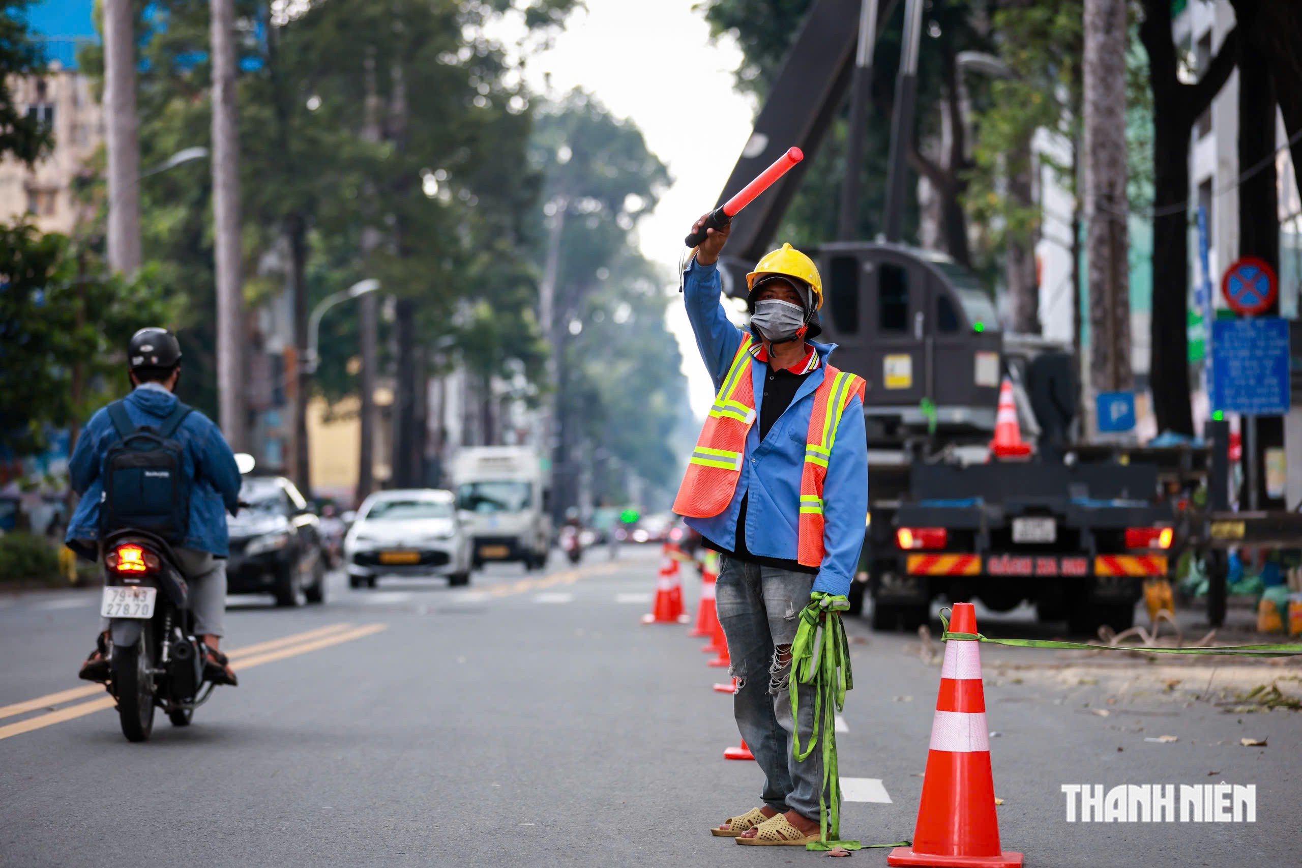 Hơn 8.000 cây cổ thụ ở TP.HCM được 'khám sức khỏe' trong mùa mưa thế nào?- Ảnh 10.